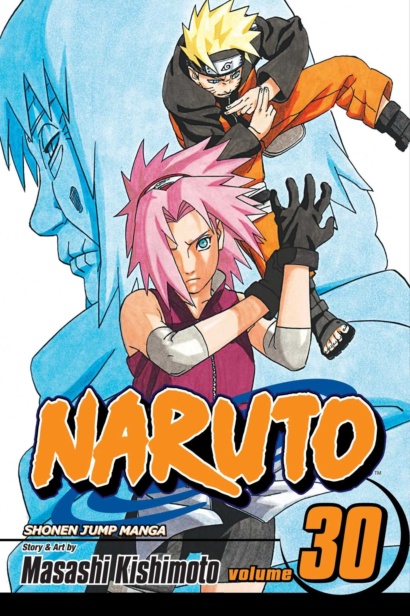 Naruto Manga Volume 30 