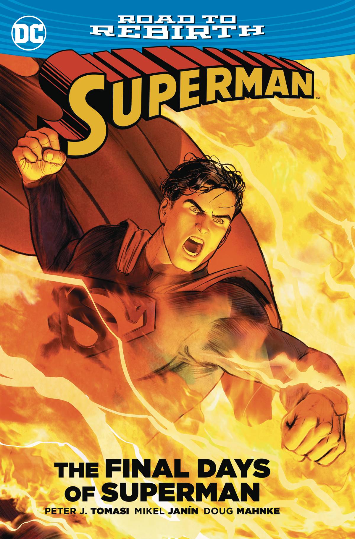 Superman The Final Days of Superman Graphic Novel