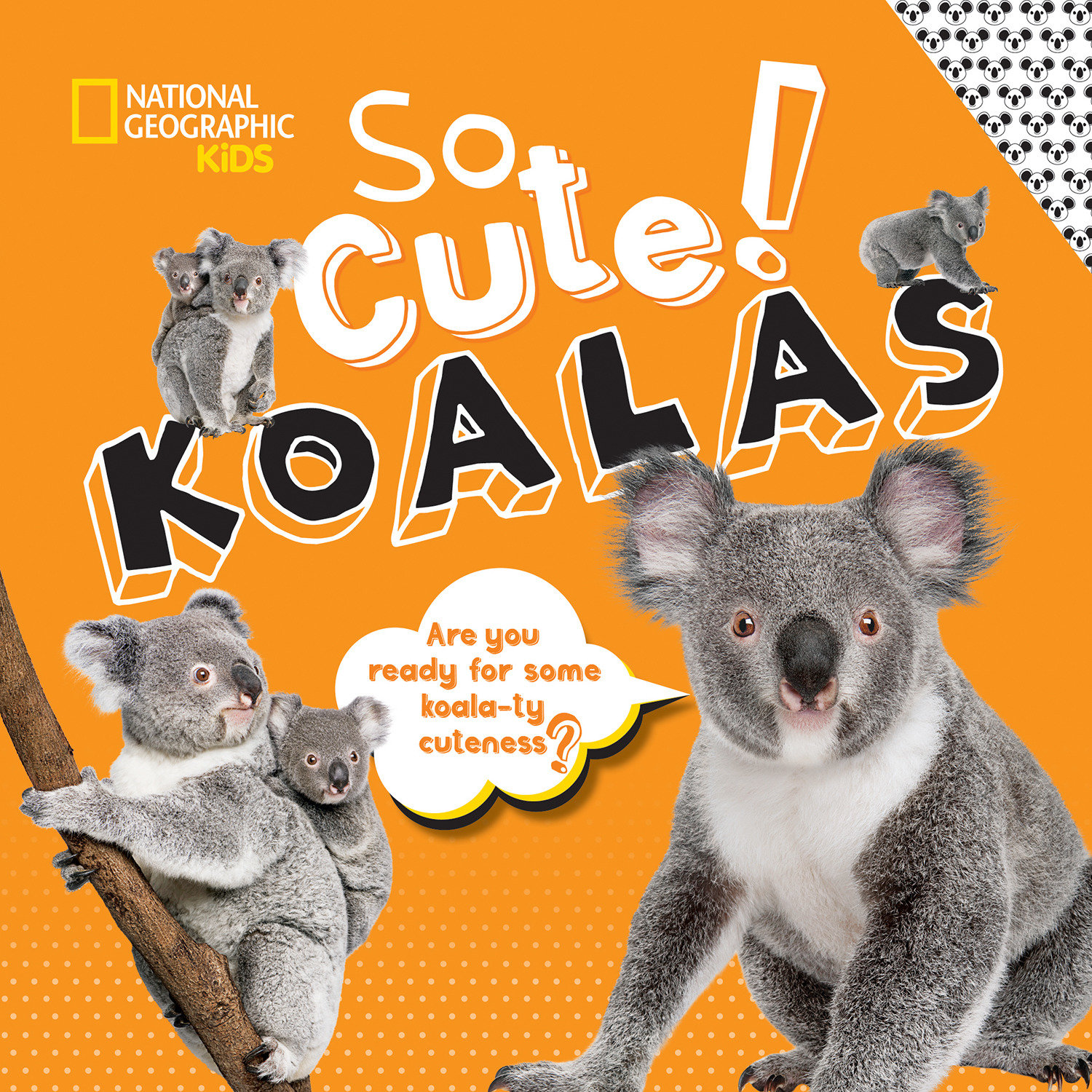 So Cute! Koalas (Hardcover Book)