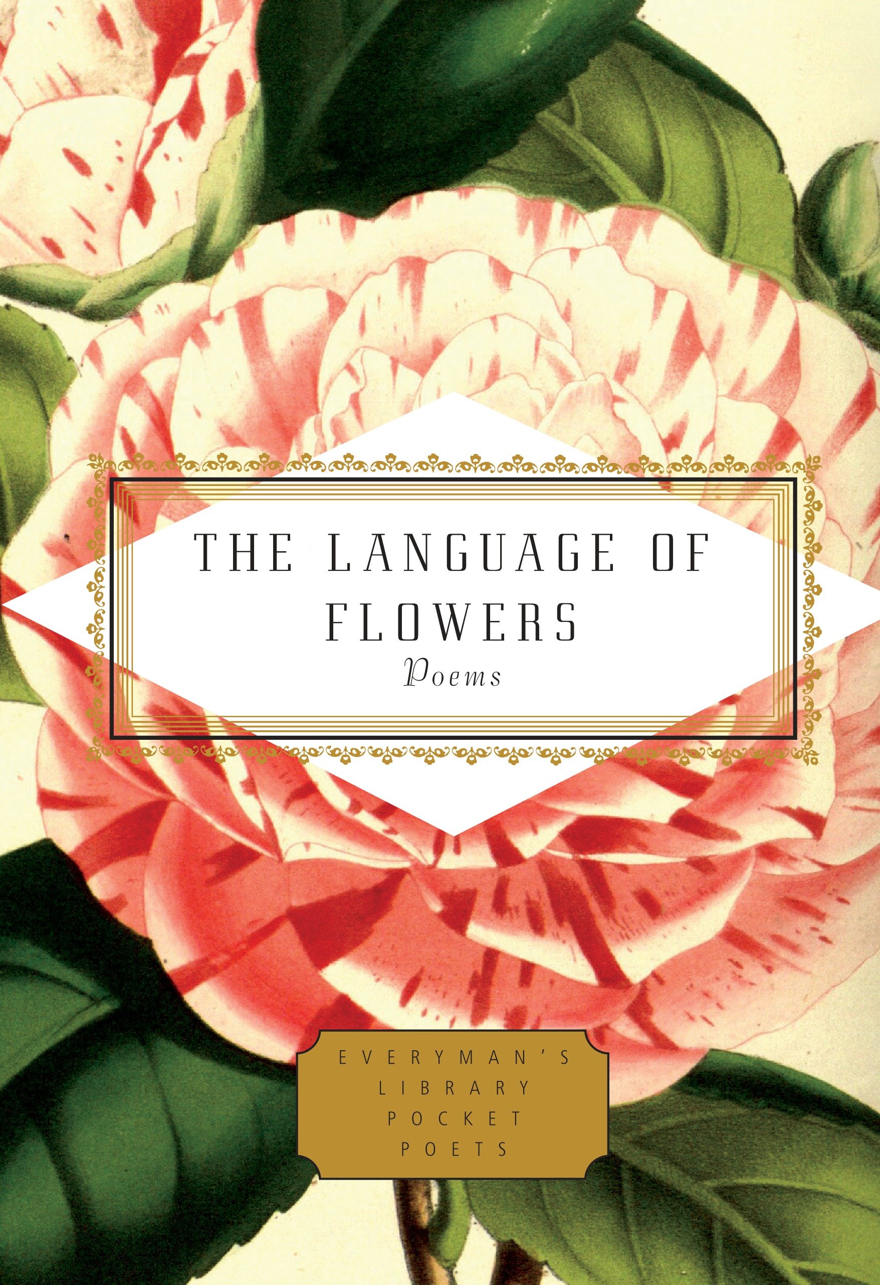 The Language Of Flowers (Hardcover Book)