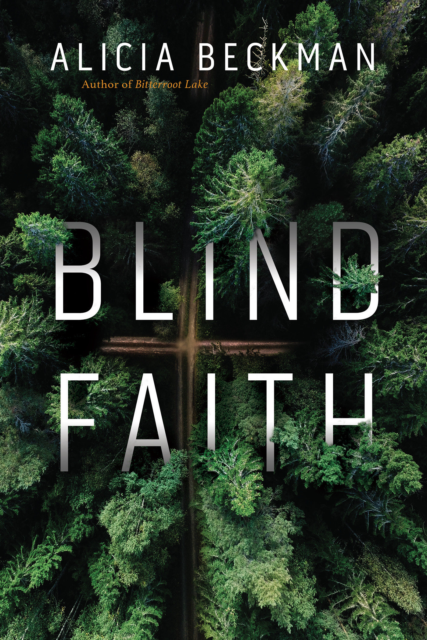 Blind Faith (Hardcover Book)