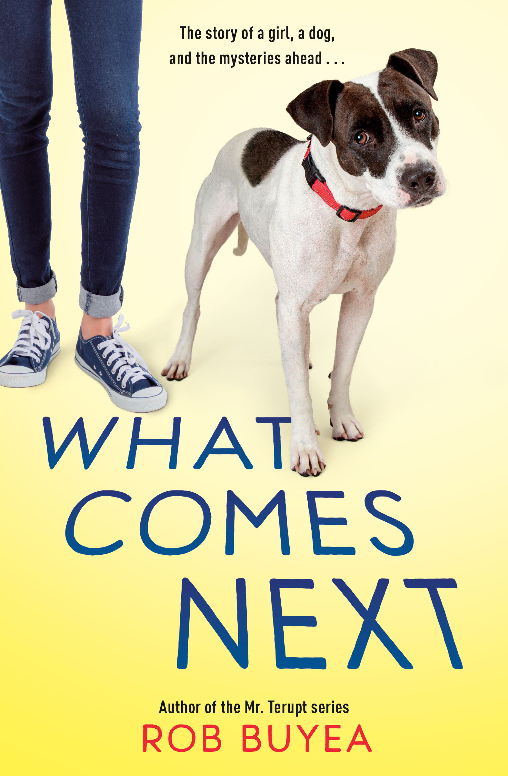 What Comes Next (Hardcover Book)