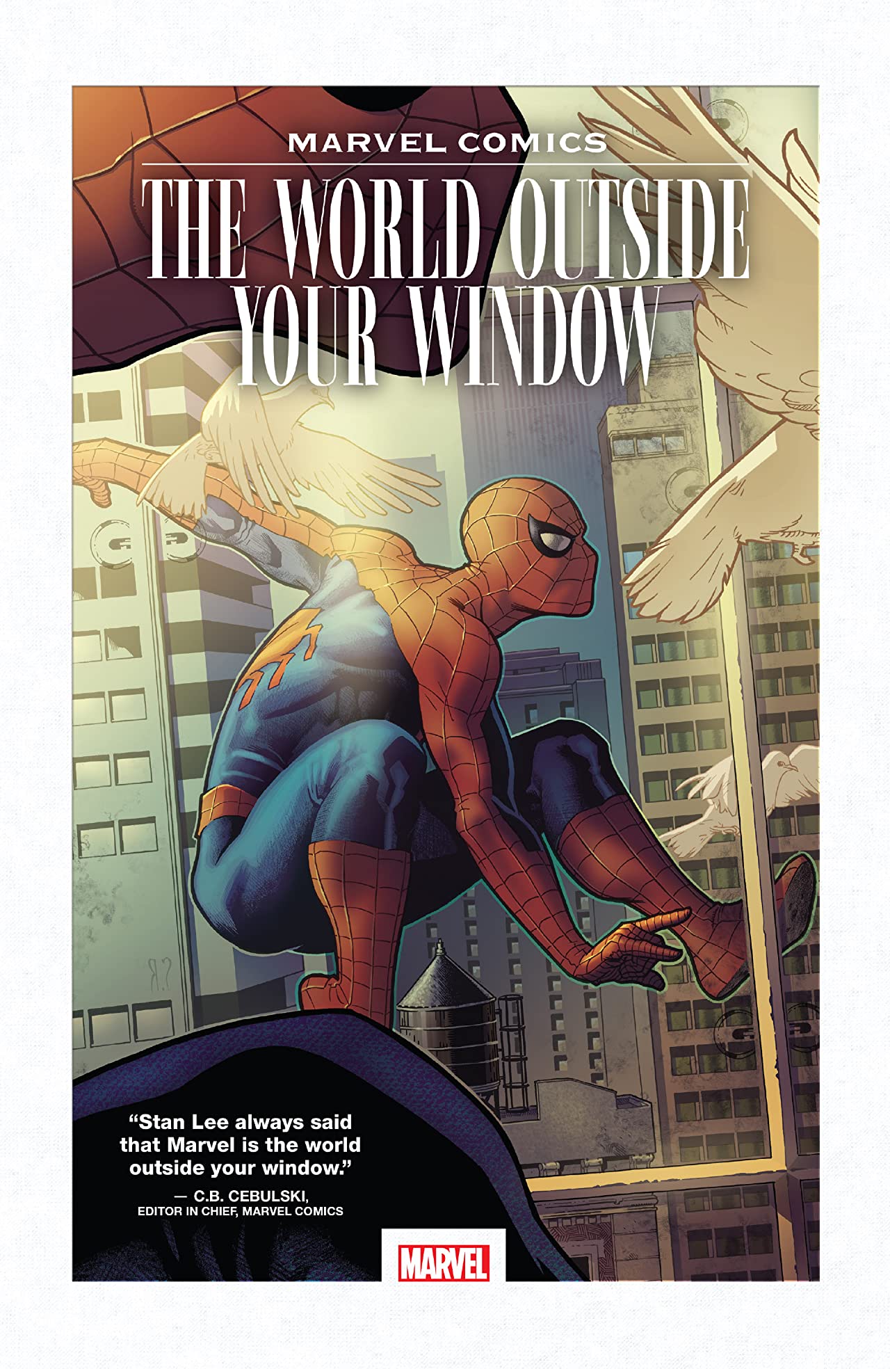 Marvel Comics Graphic Novel World Outside Your Window