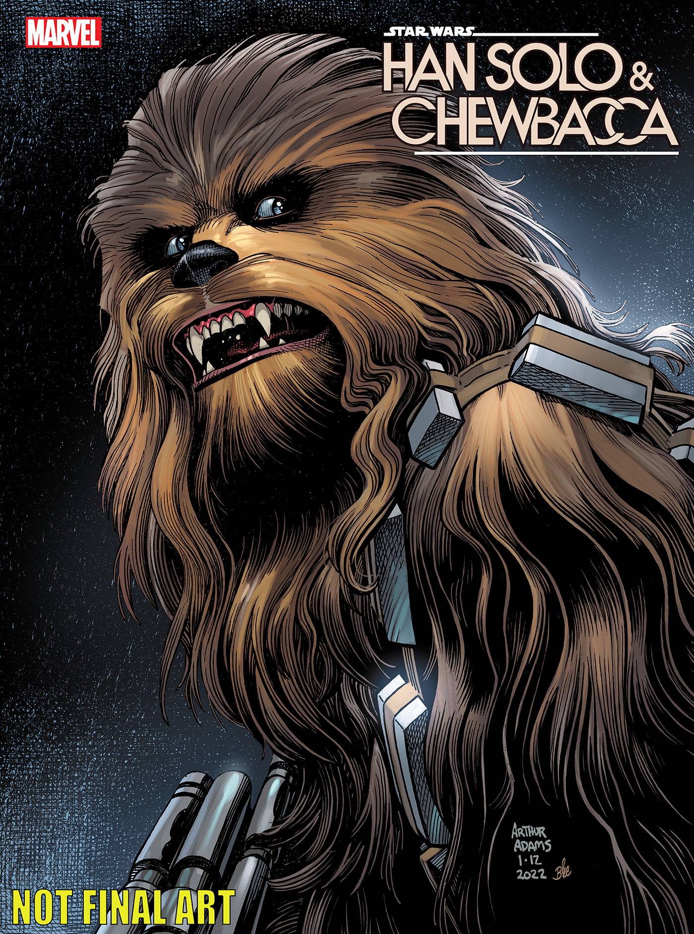 Star Wars Han Solo & Chewbacca #2 Arthur Adams Variant