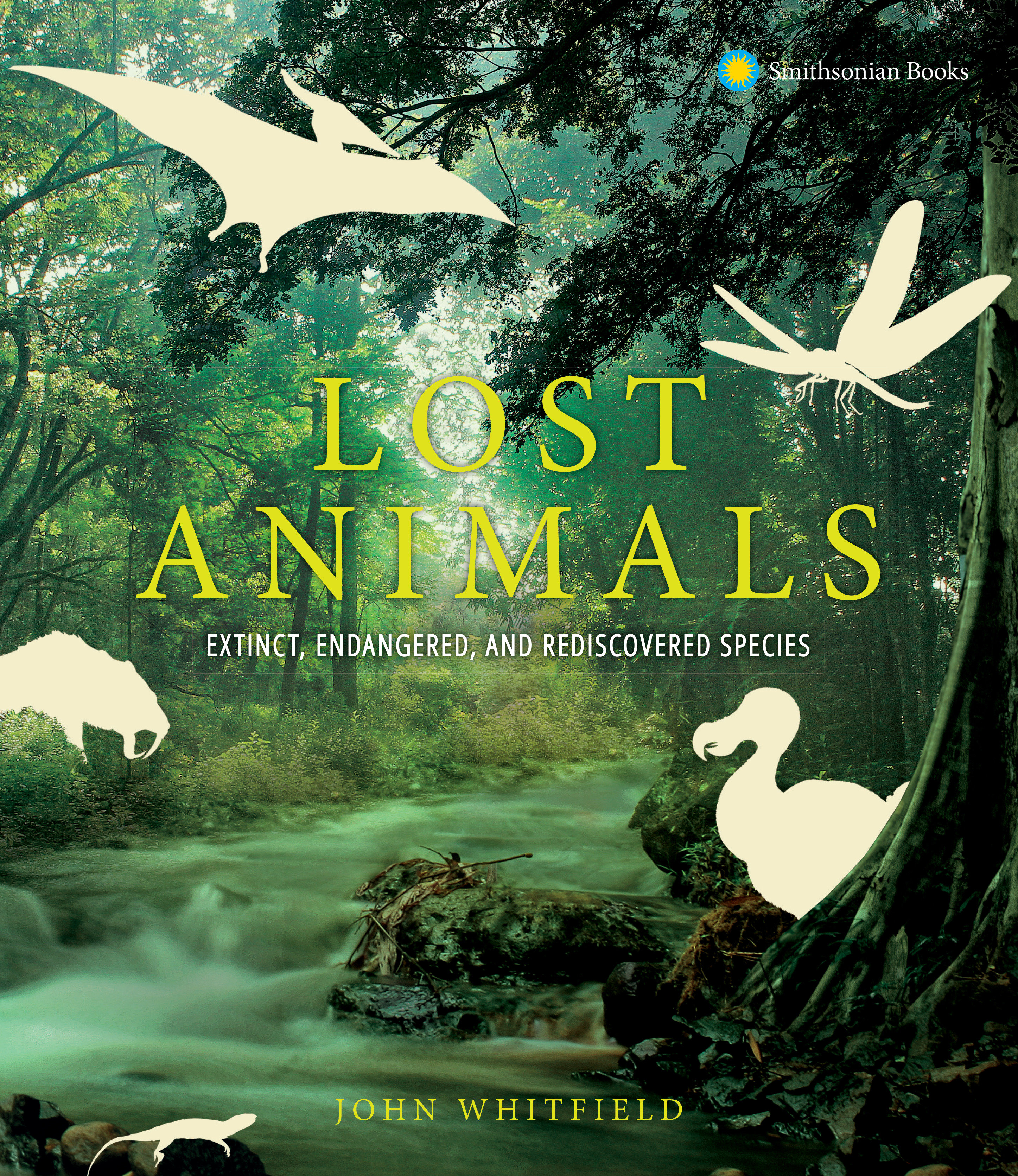Lost Animals (Hardcover Book)