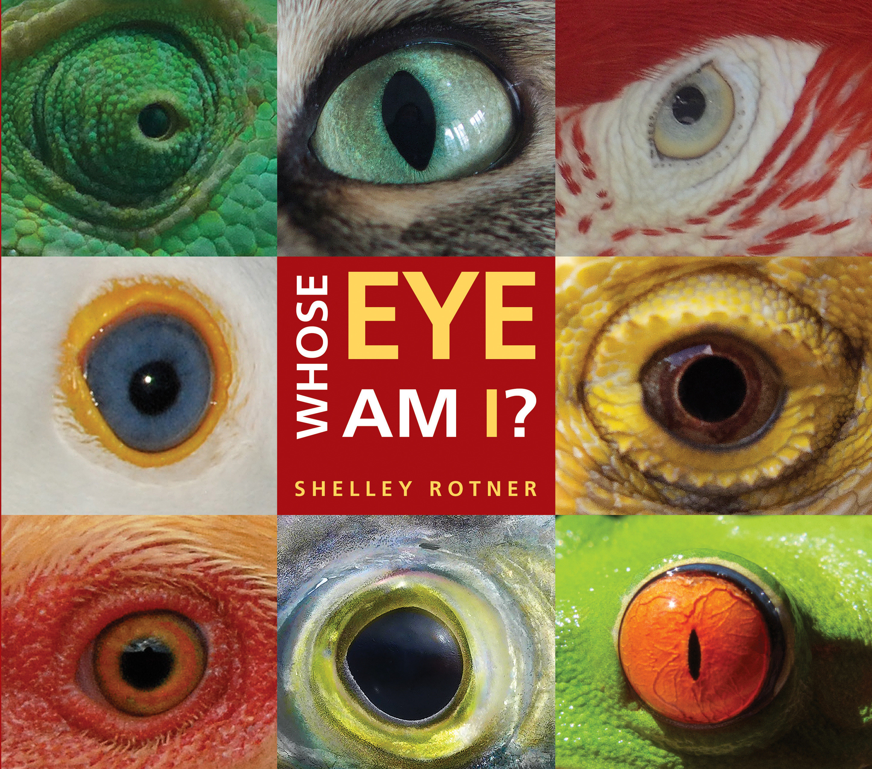 Whose Eye Am I? (Hardcover Book)