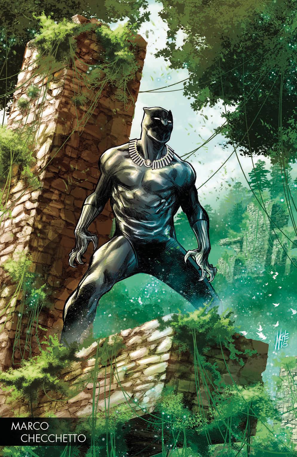 Black Panther #170 Checchetto Young