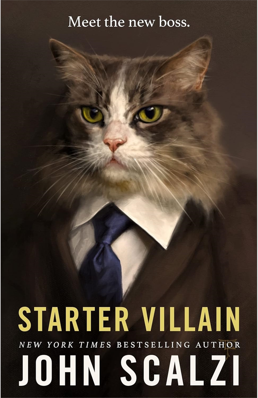 Starter Villain Paperback