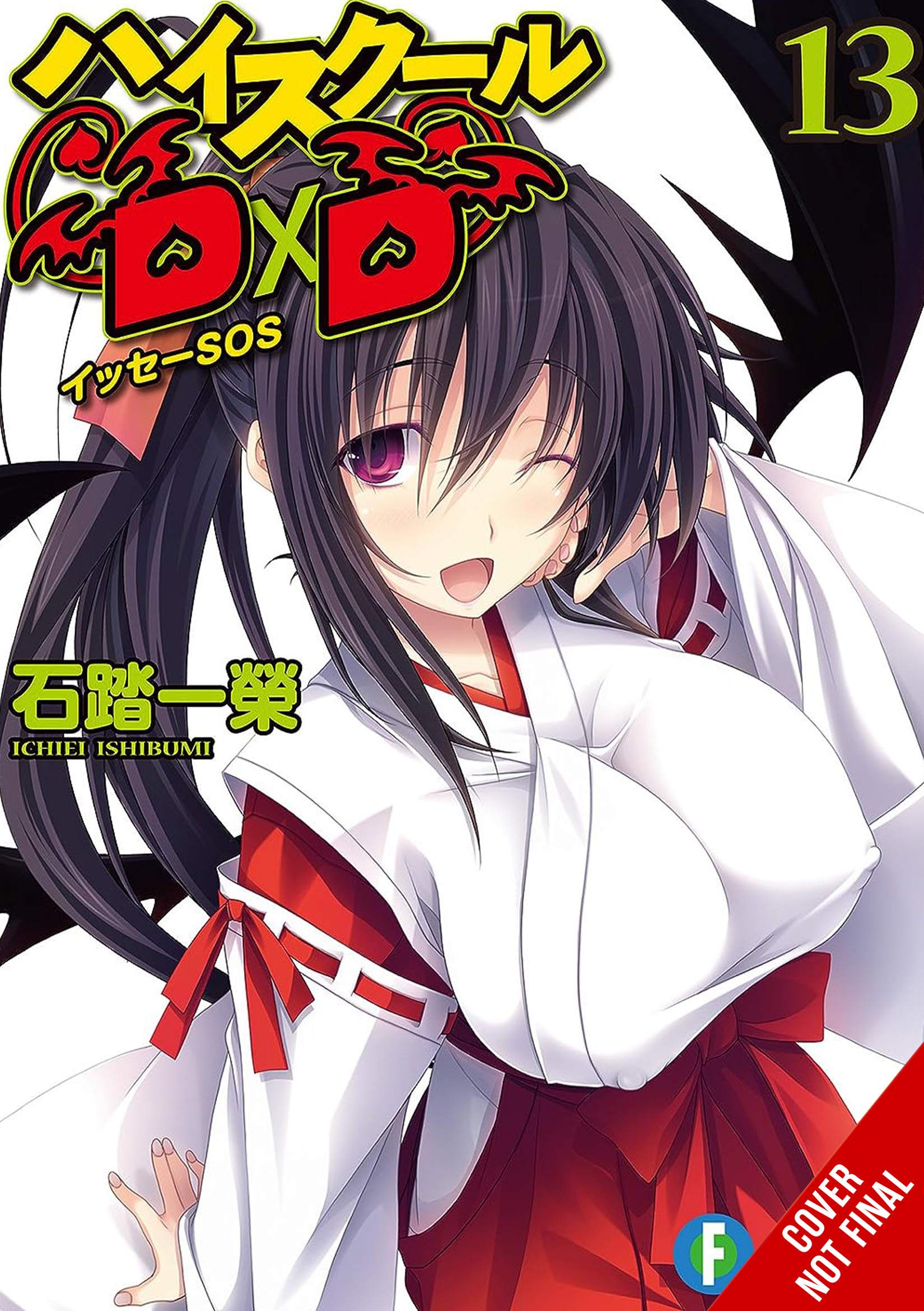 High School DXD Light Novel Volume 13