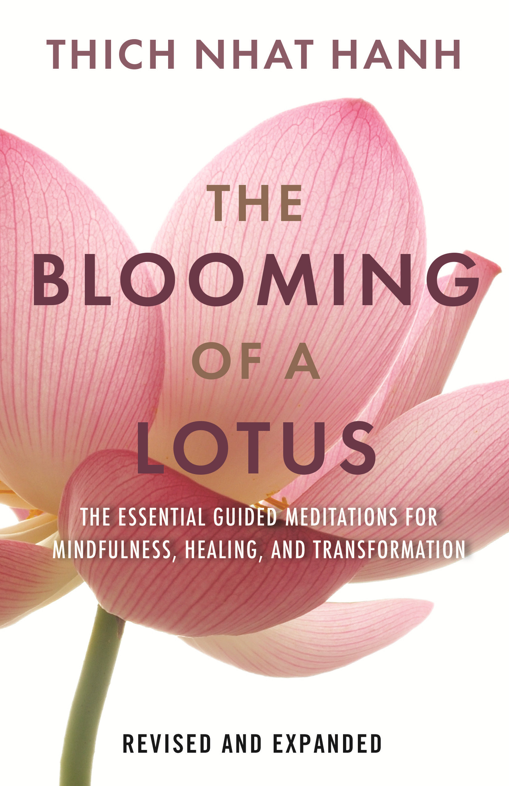 The Blooming Of A Lotus Revised & Expanded (Hardcover Book)