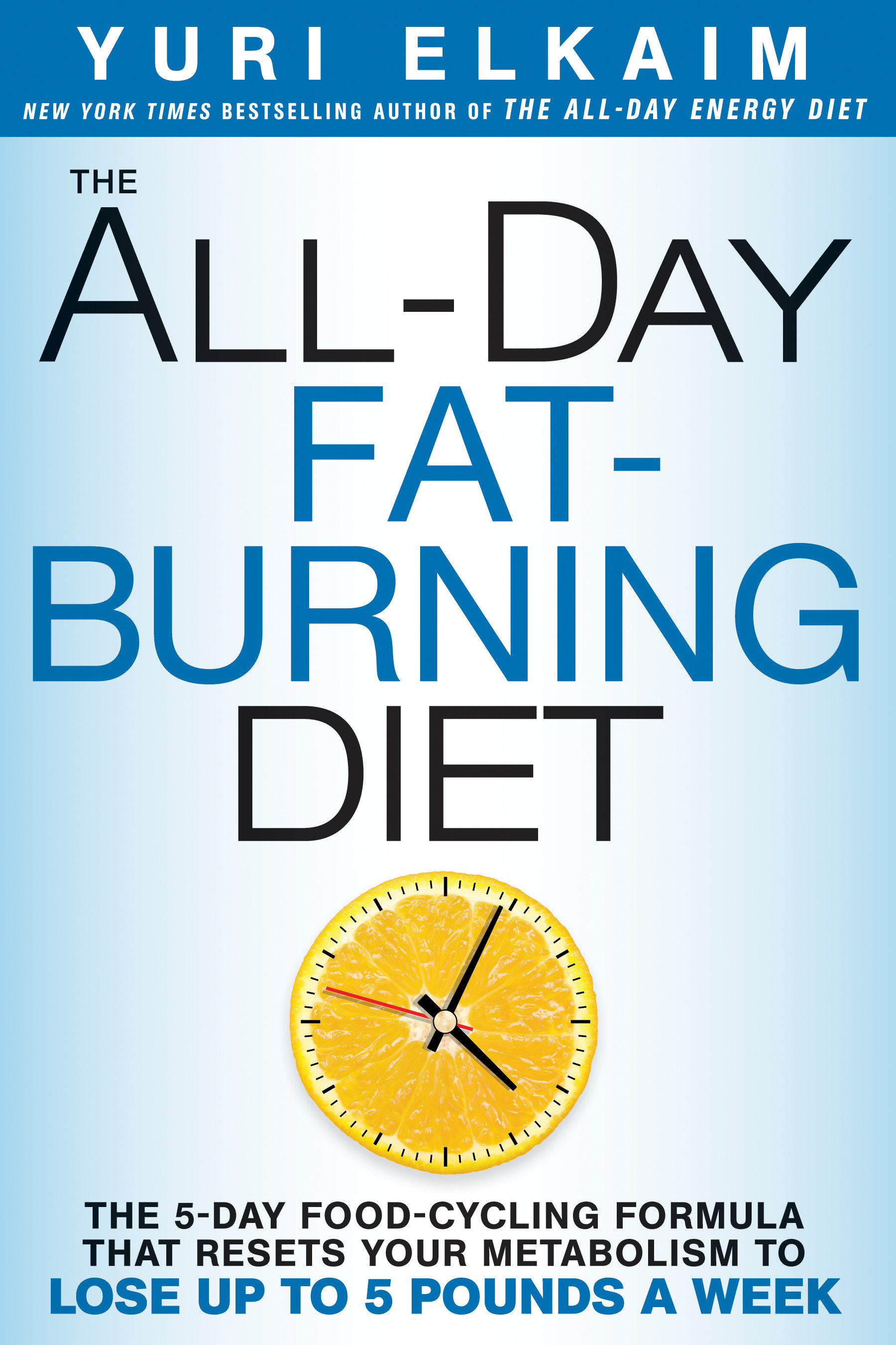 The All-Day Fat-Burning Diet (Hardcover Book)