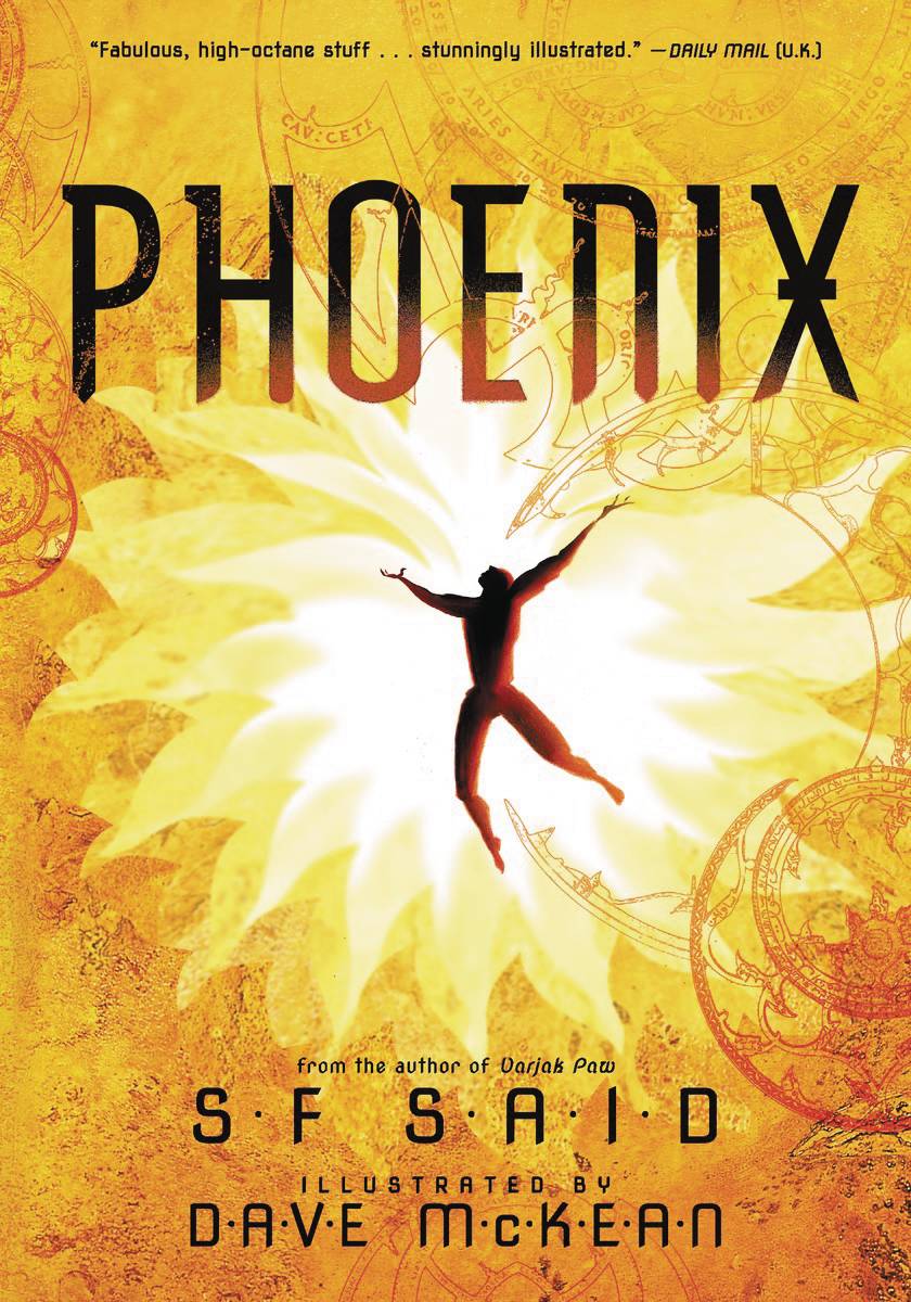 Phoenix Ya Novel Hardcover