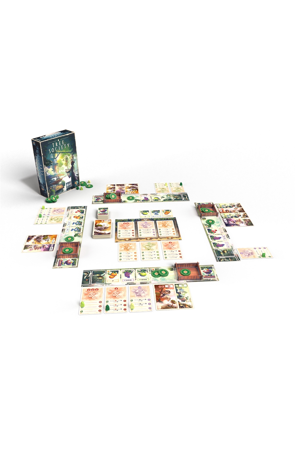 Tree Society Board Game