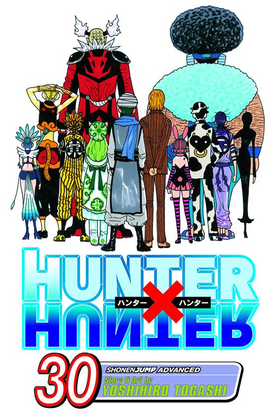 Hunter X Hunter Manga Volume 30