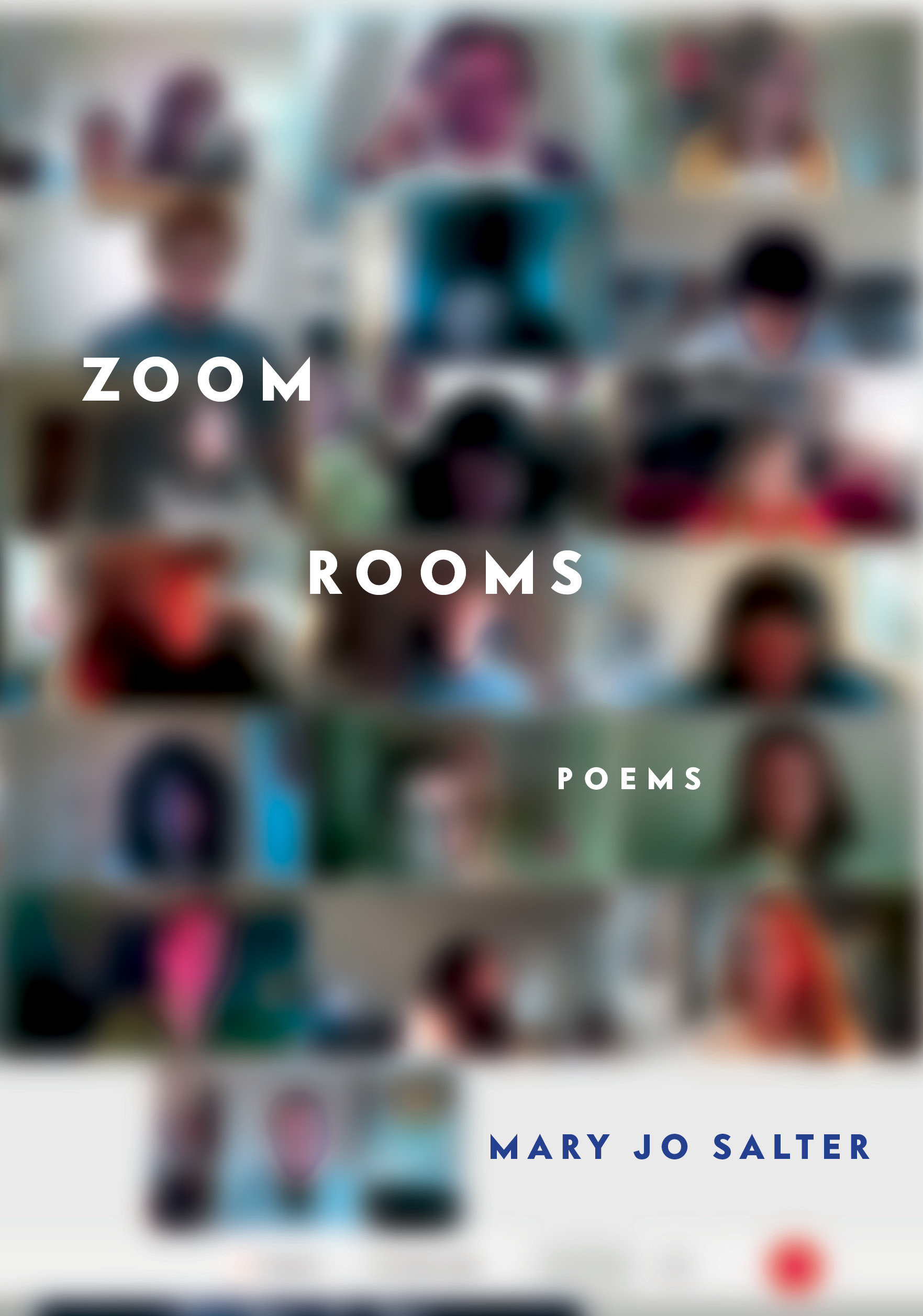 Zoom Rooms (Hardcover Book)