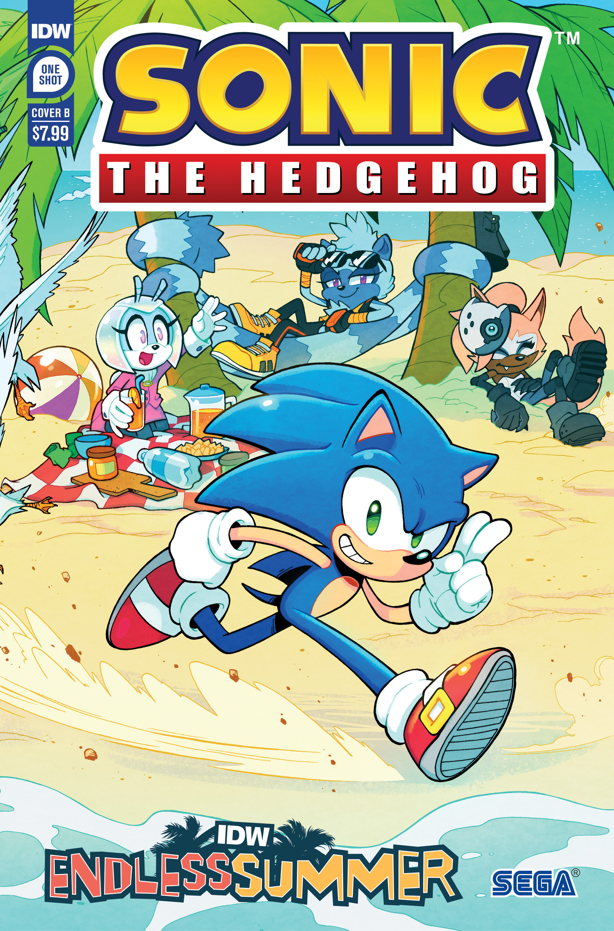 IDW Endless Summer—Sonic the Hedgehog Cover B Lawrence