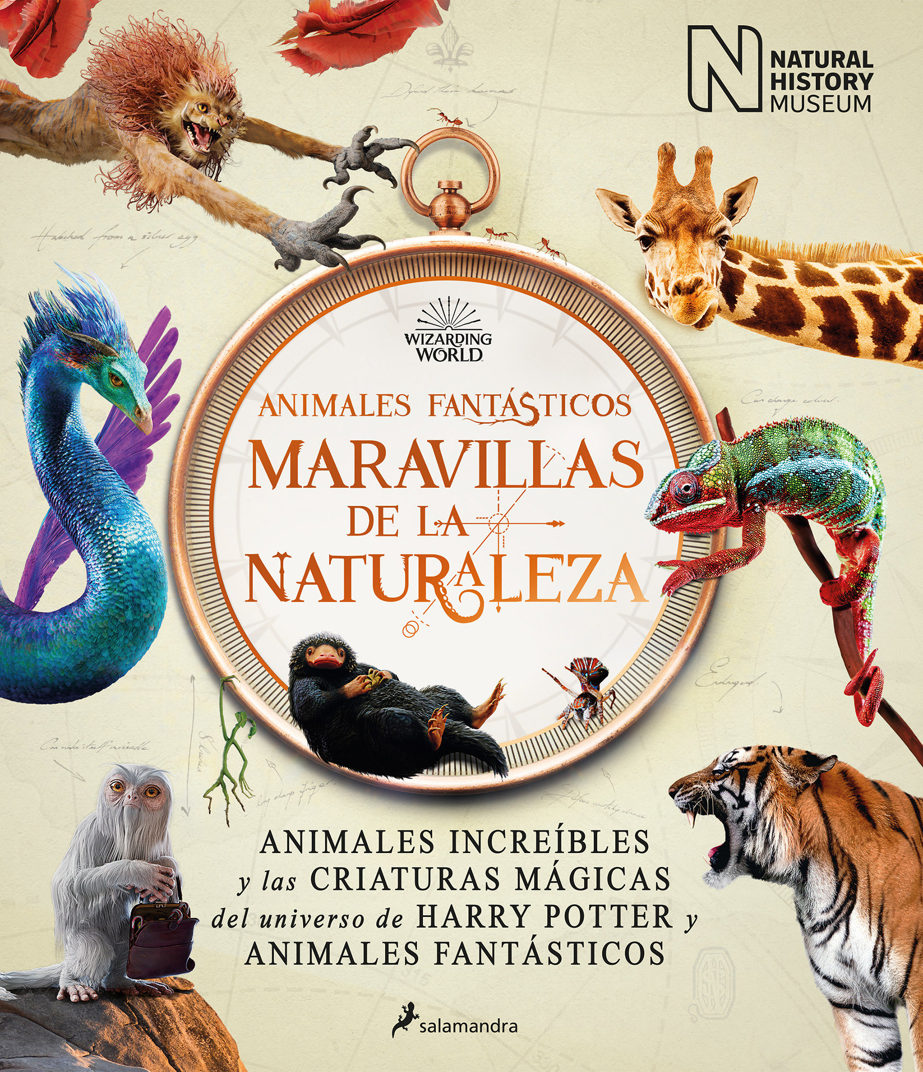 Animales Fantásticos Maravillas De La Naturaleza / Fantastic Animals, Wonders Of Nature (Hardcover Book)