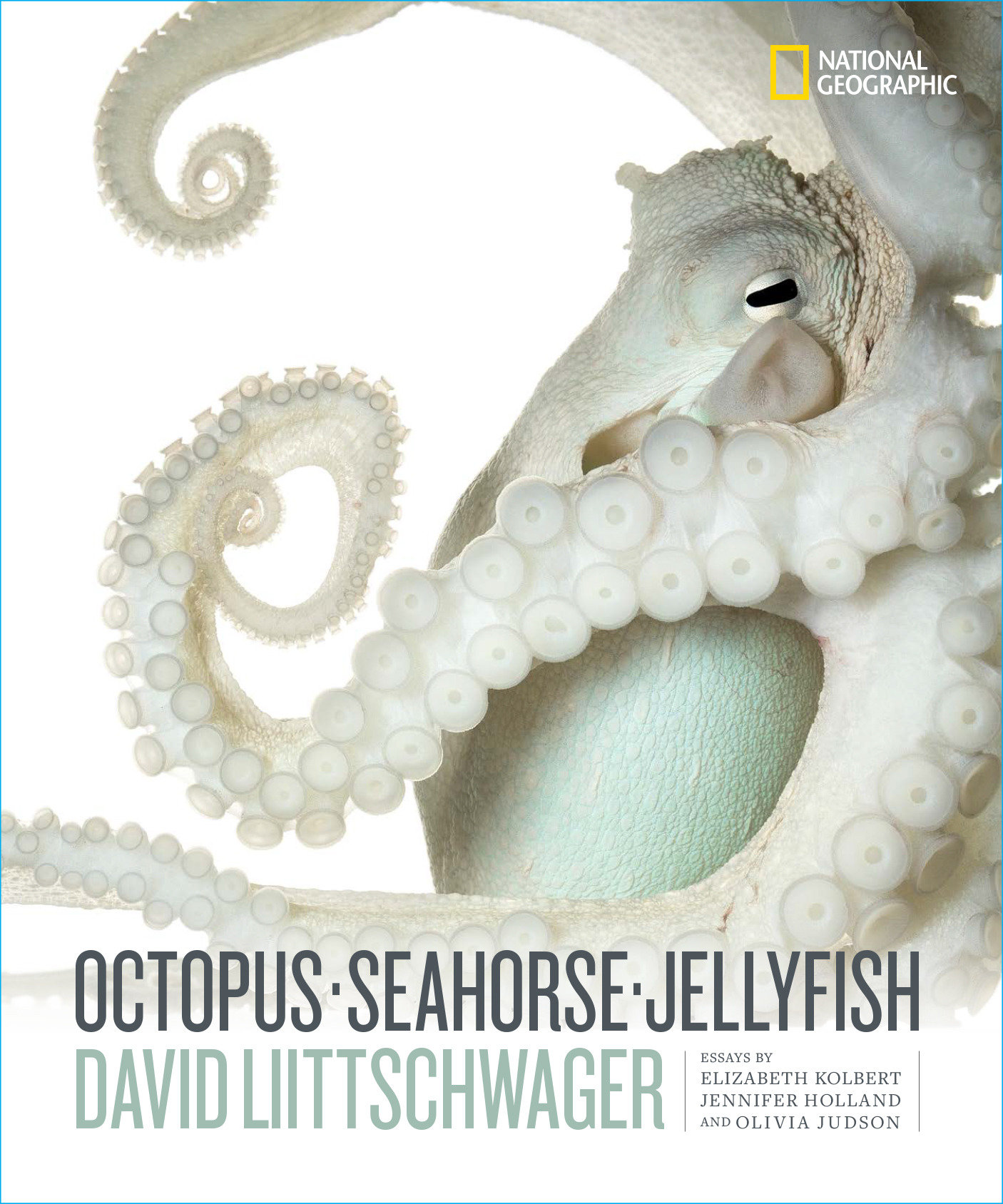 Octopus, Seahorse, Jellyfish (Hardcover Book)