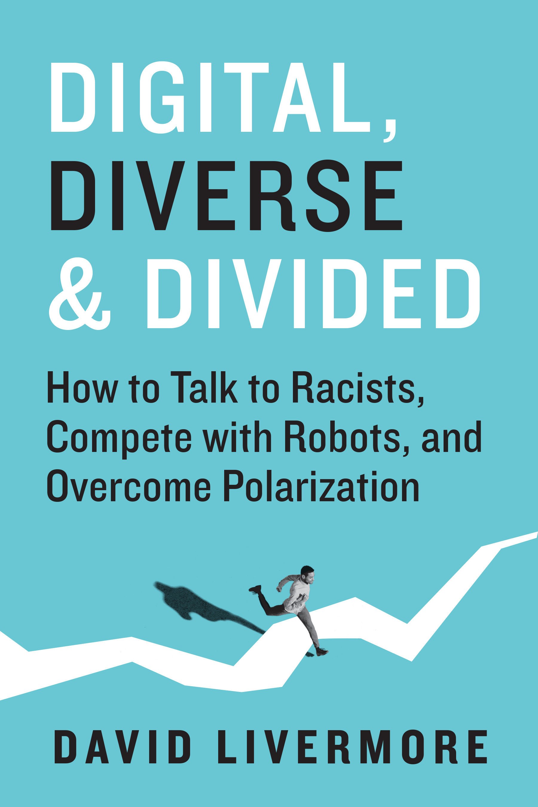 Digital, Diverse & Divided (Hardcover Book)