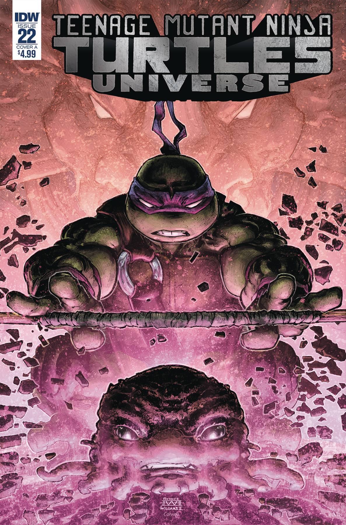 Teenage Mutant Ninja Turtles Universe #22 Cover A Williams II