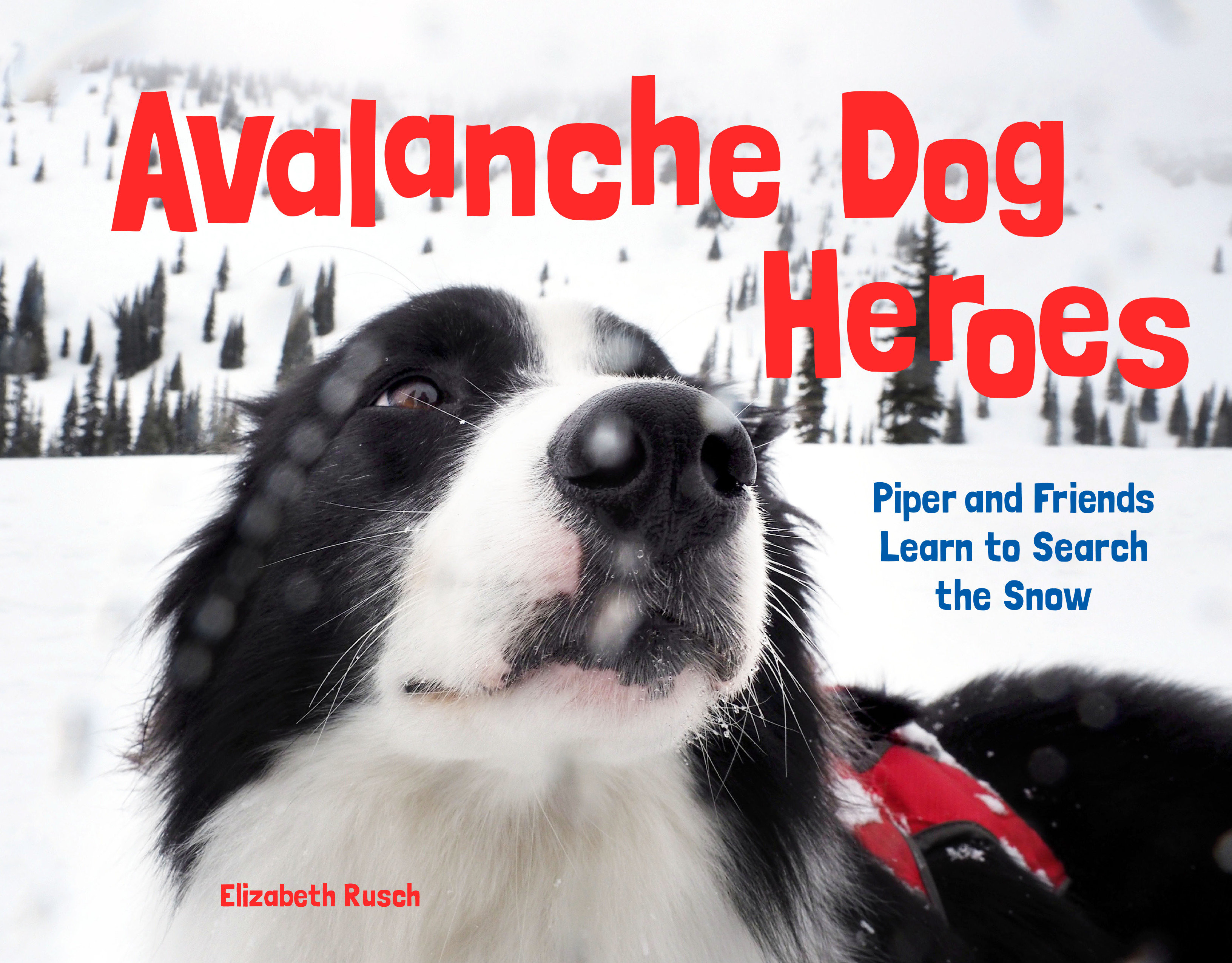 Avalanche Dog Heroes (Hardcover Book)