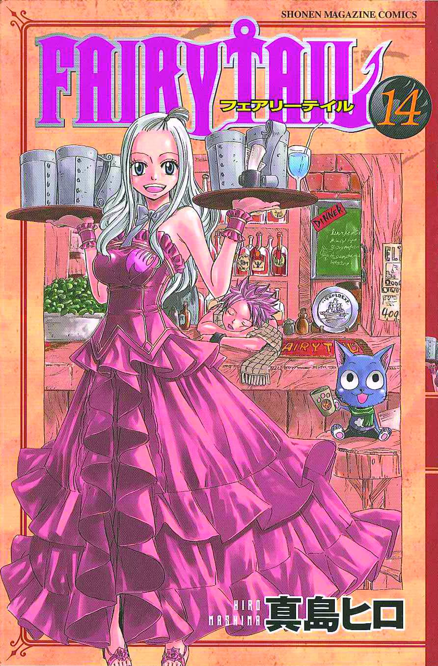 Fairy Tail Manga Volume 14