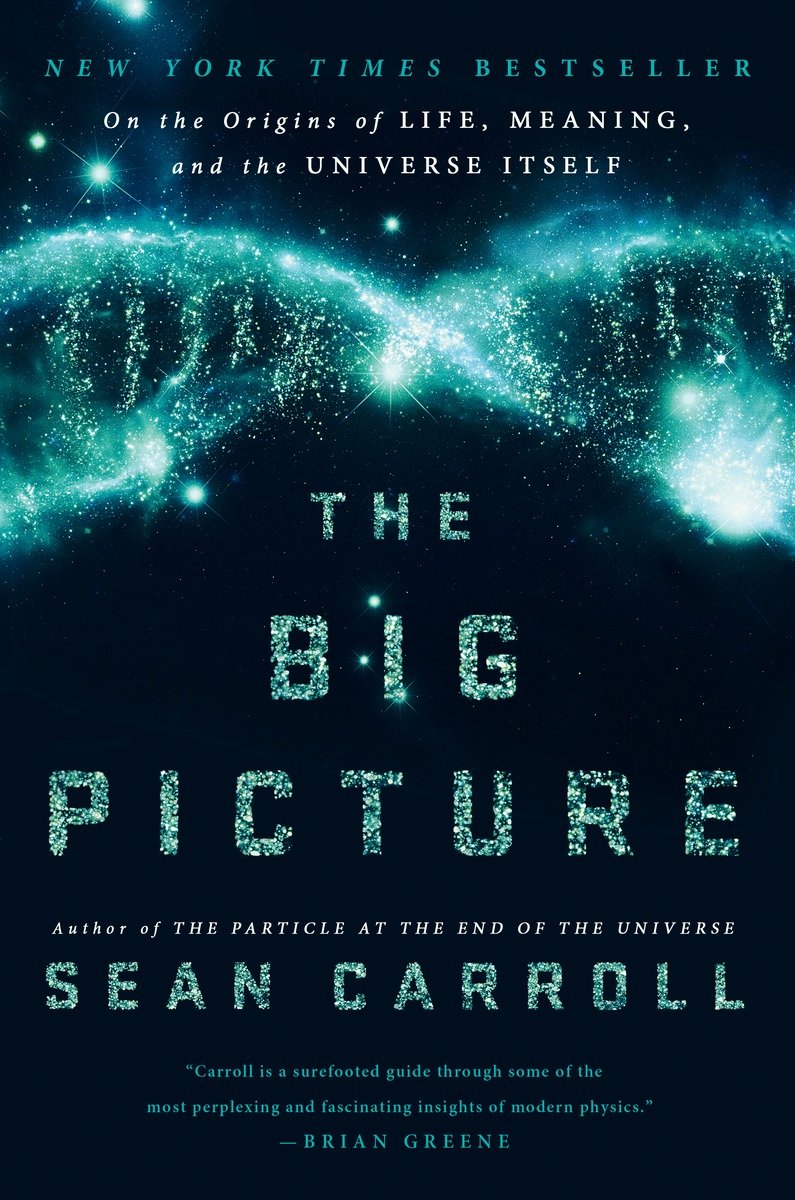 The Big Picture (Hardcover Book)