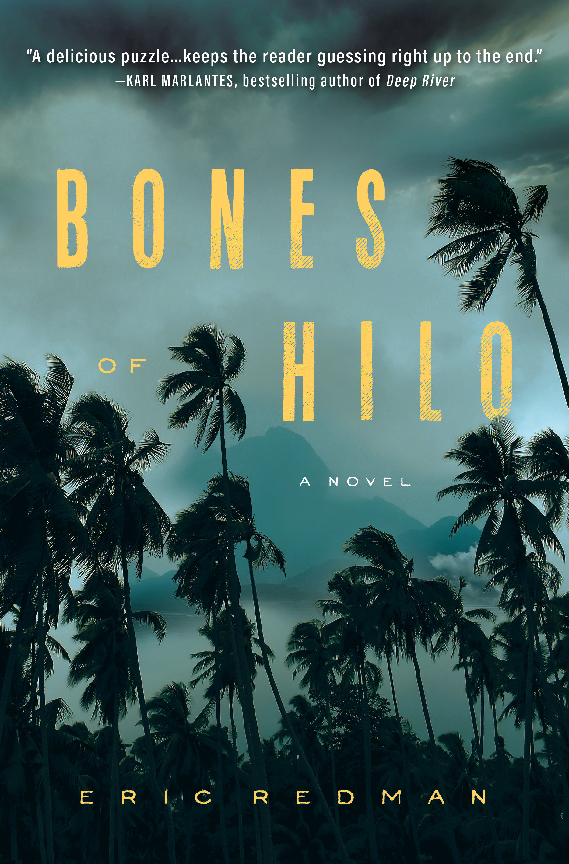 Bones Of Hilo (Hardcover Book)