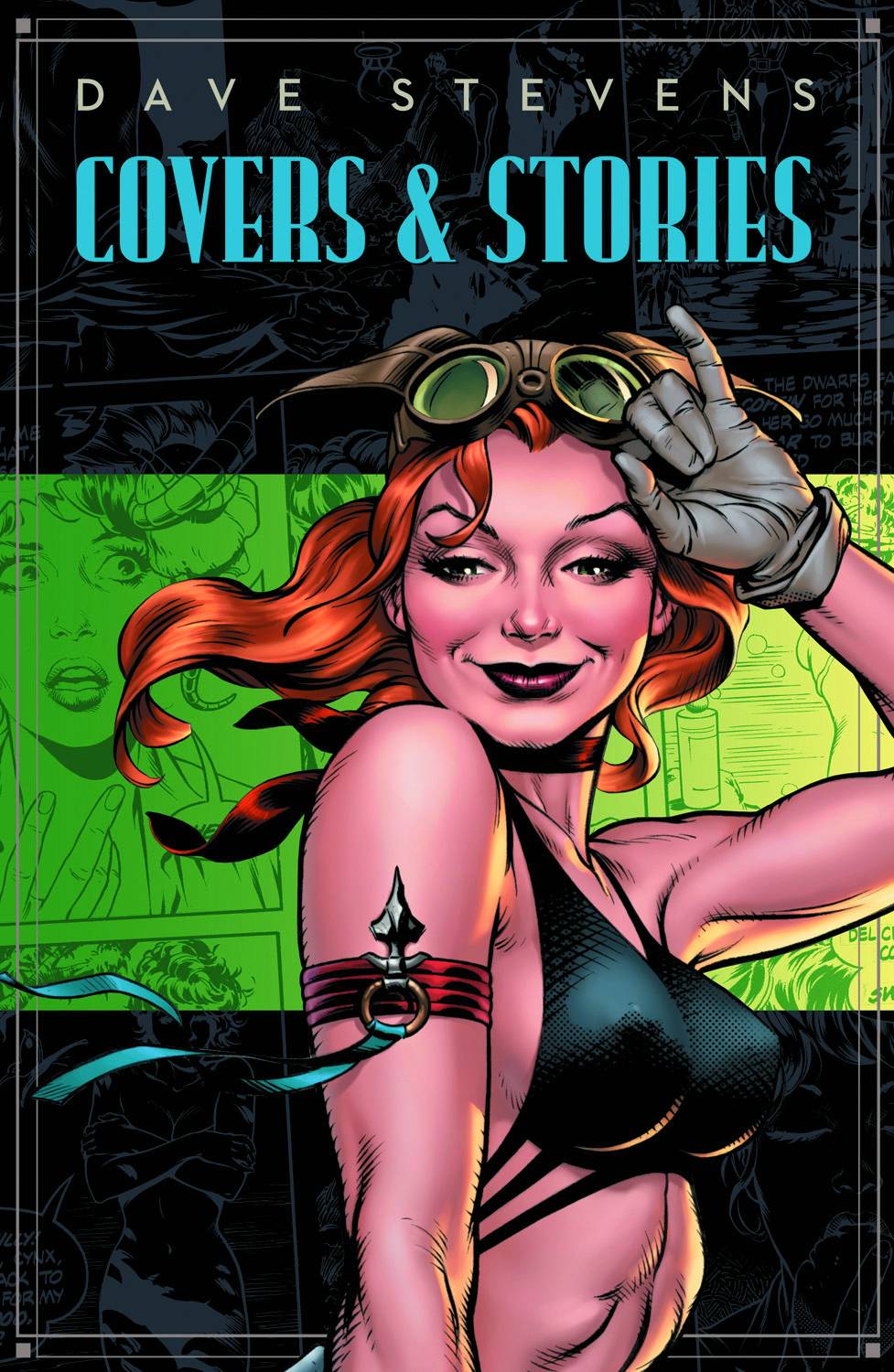 Dave Stevens Stories & Covers Hardcover