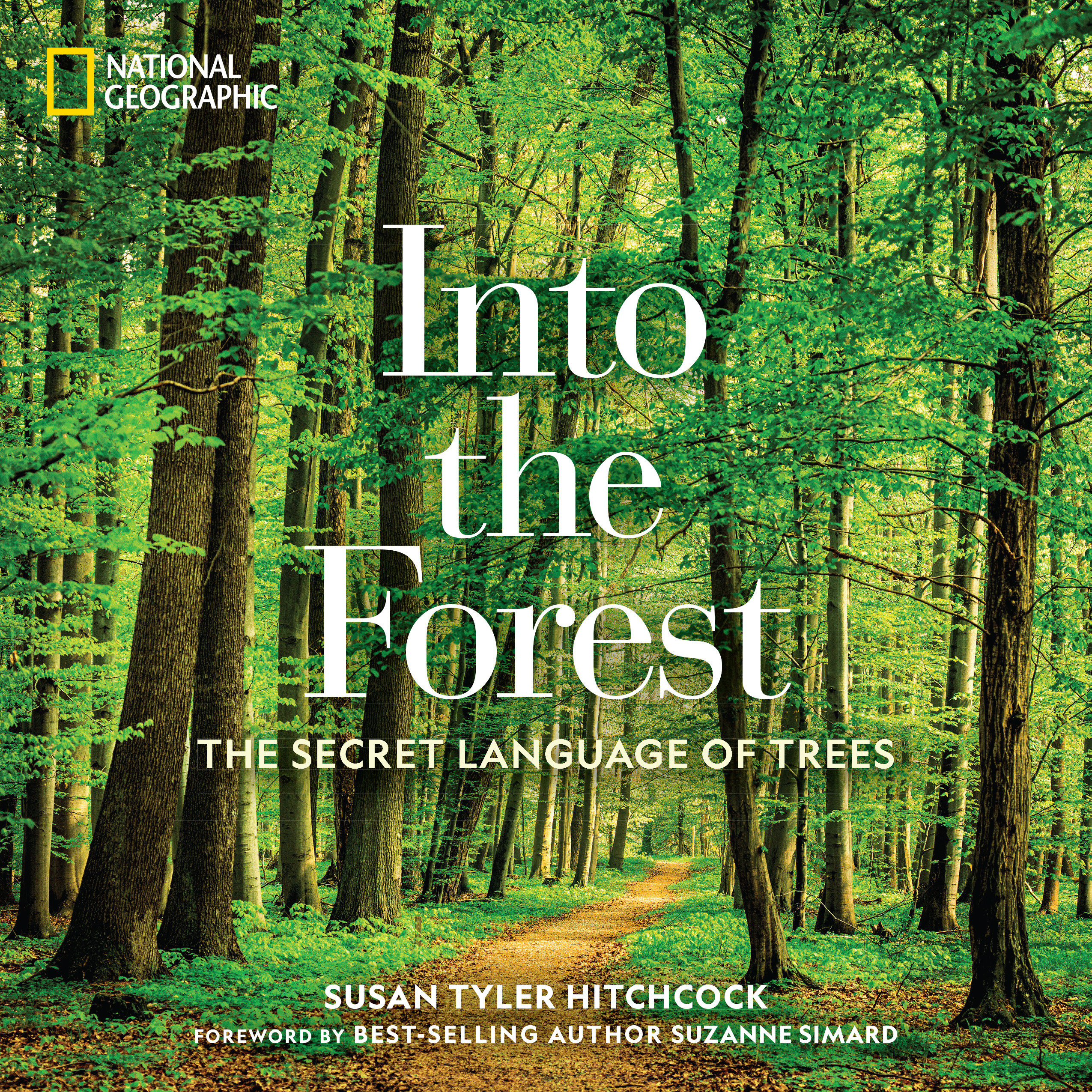 Into The Forest (Hardcover Book)