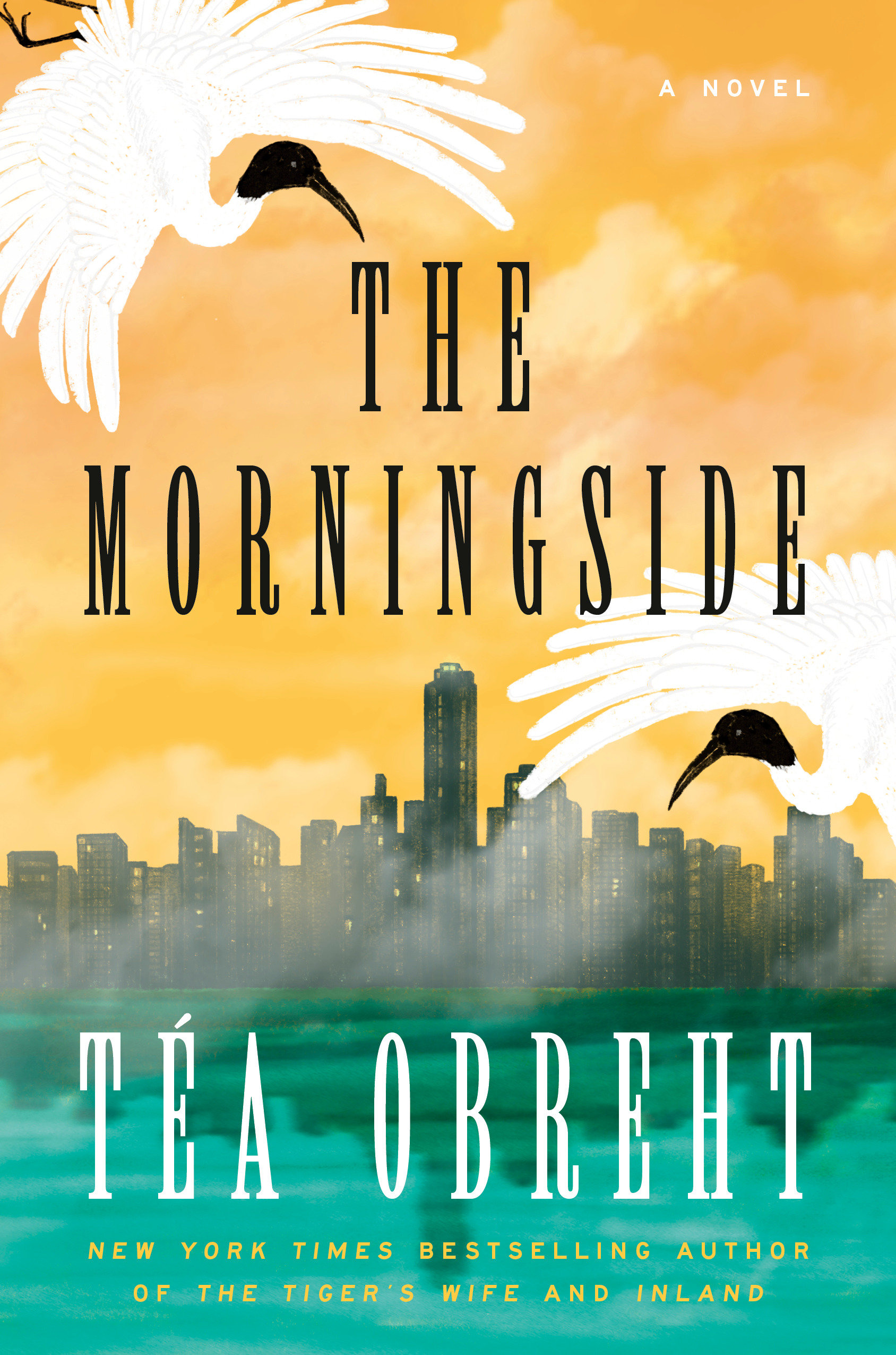 The Morningside (Hardcover Book)
