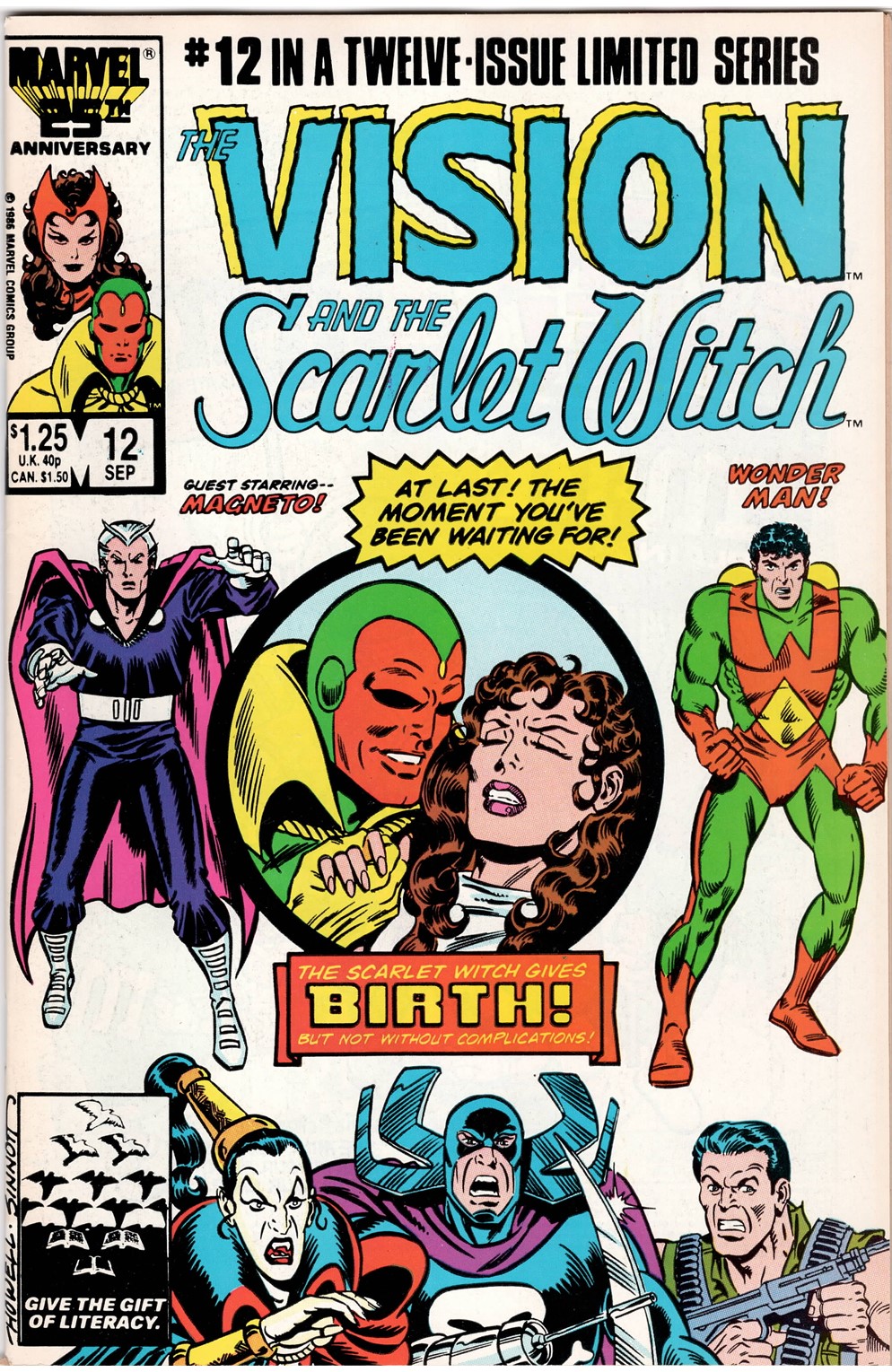 Vision And The Scarlet Witch #12