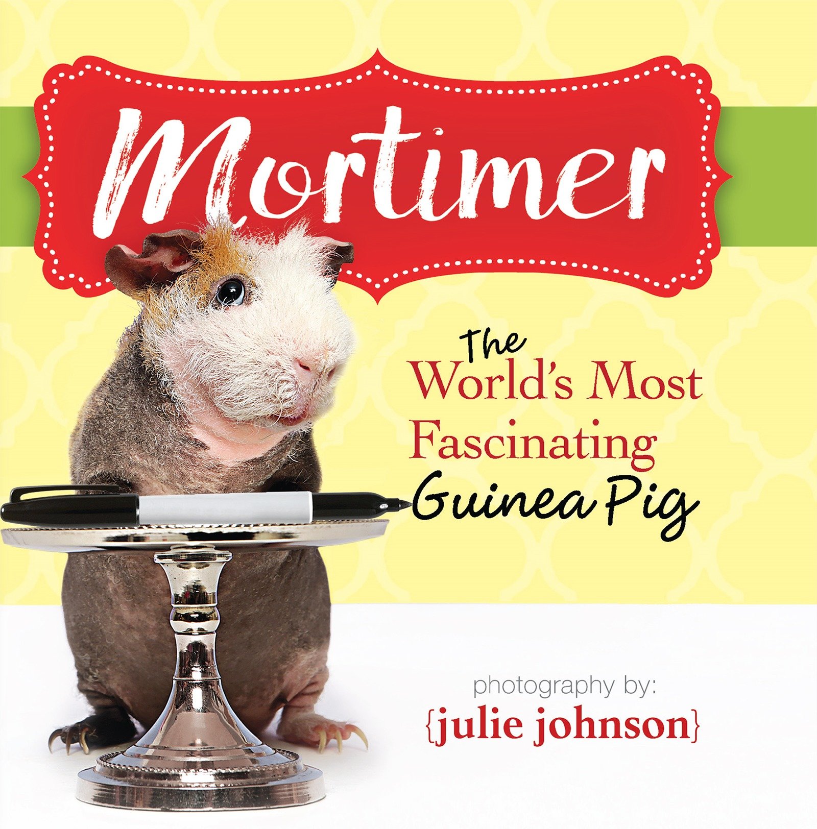 Mortimer, World'S Most Fascinating Guinea Pig (Hardcover Book)