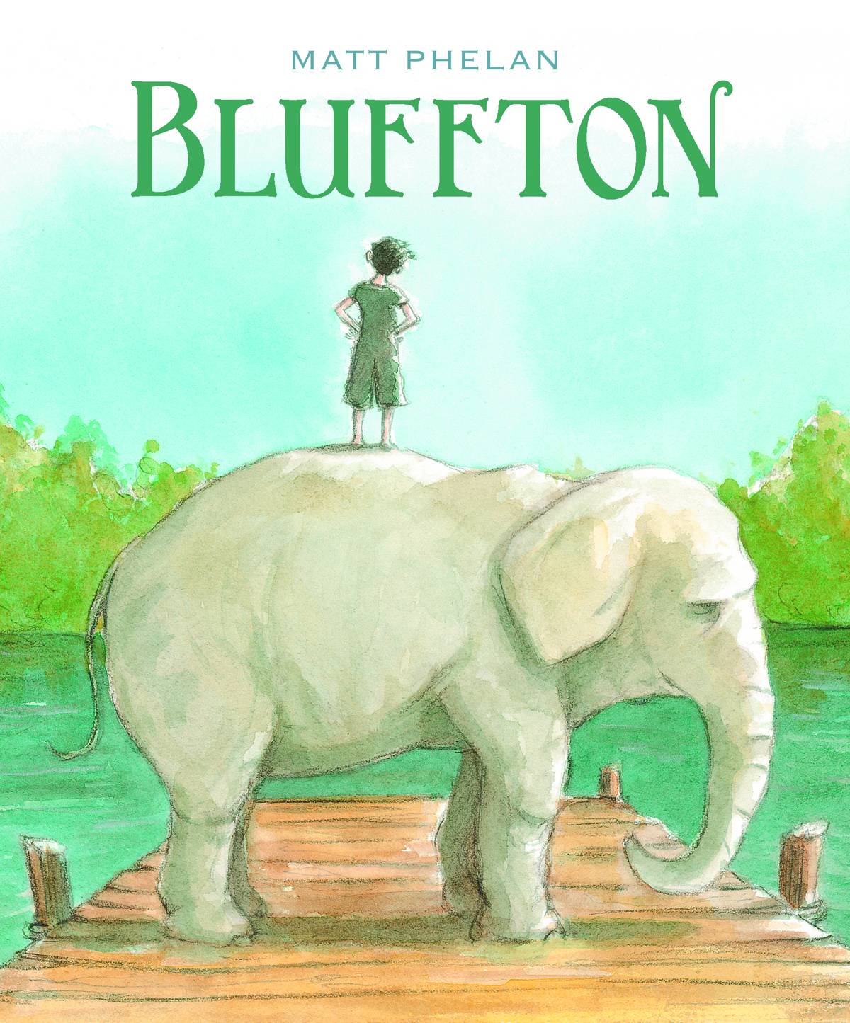 Bluffton My Summers With Buster Graphic Novel