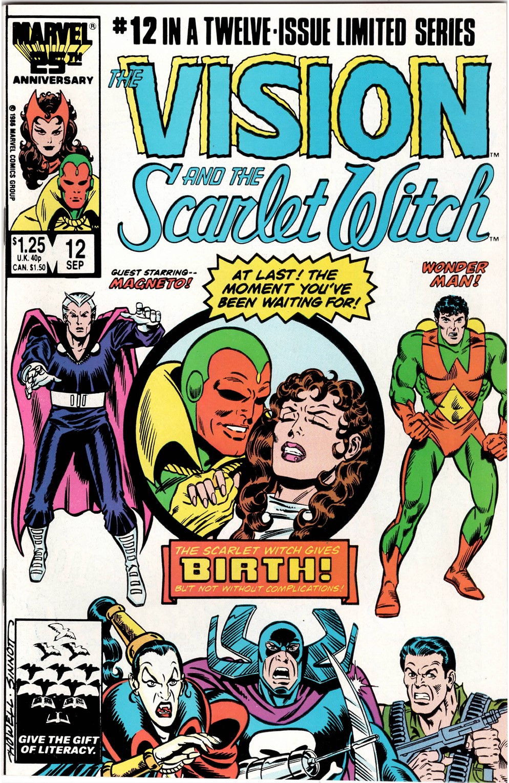 Vision And The Scarlet Witch #12