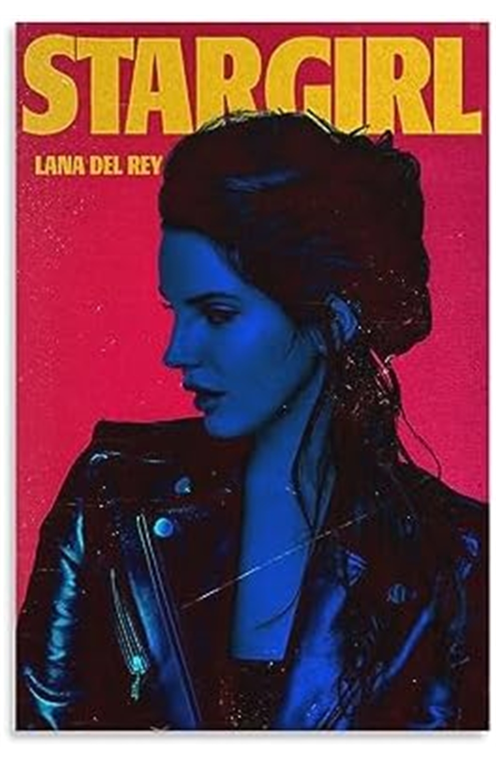 Lana Del Ray Stargirl Poster