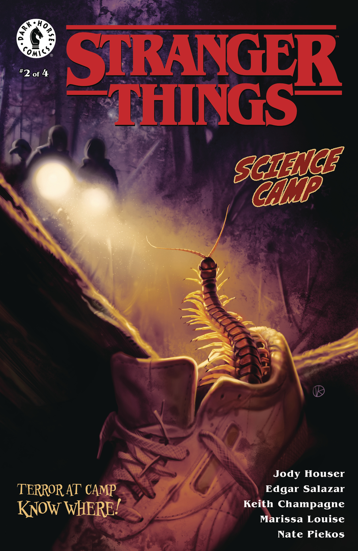Stranger Things Science Camp #2 Cover A Kalvachev (Of 4)