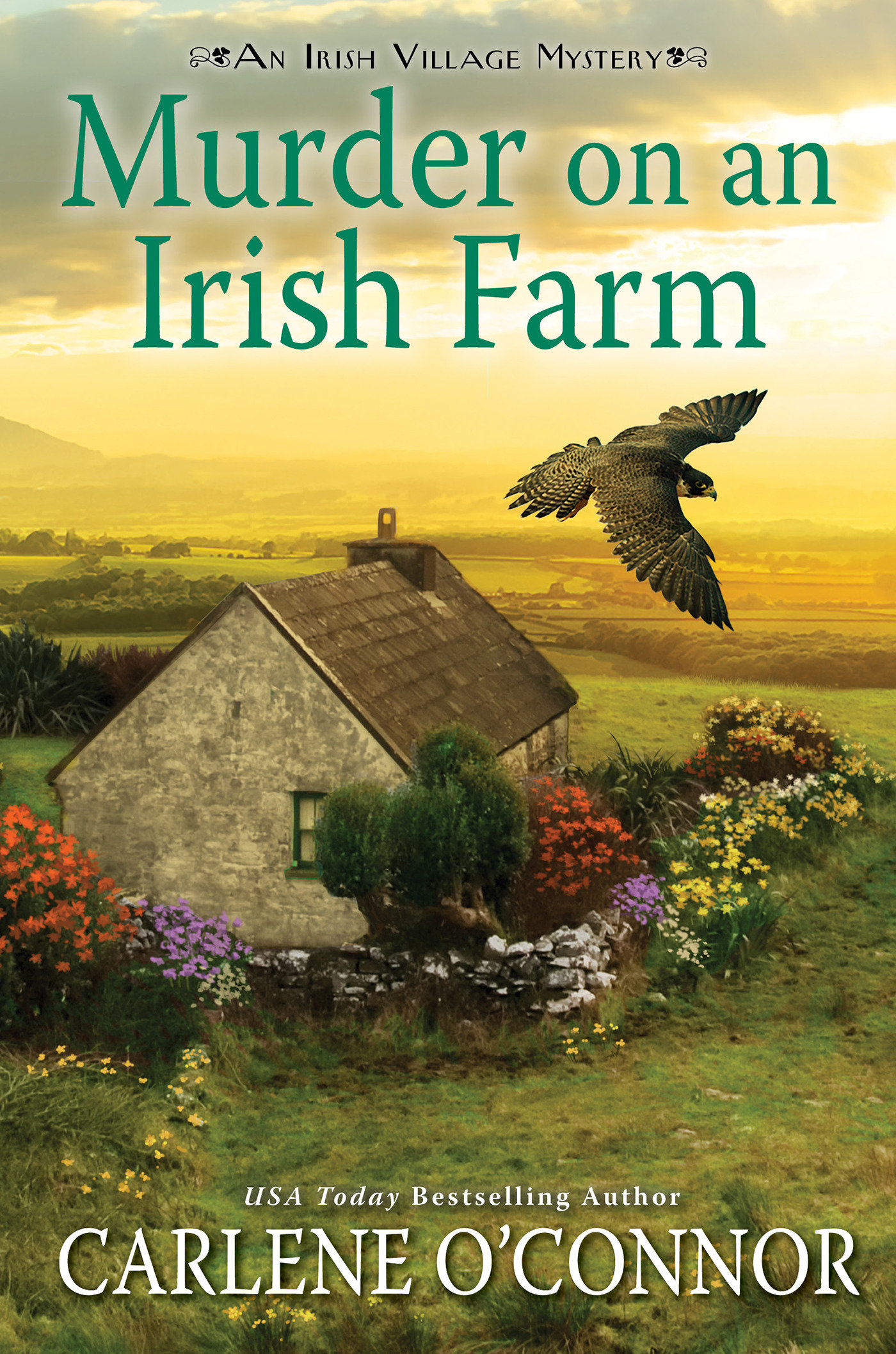 Murder On An Irish Farm (Hardcover Book)