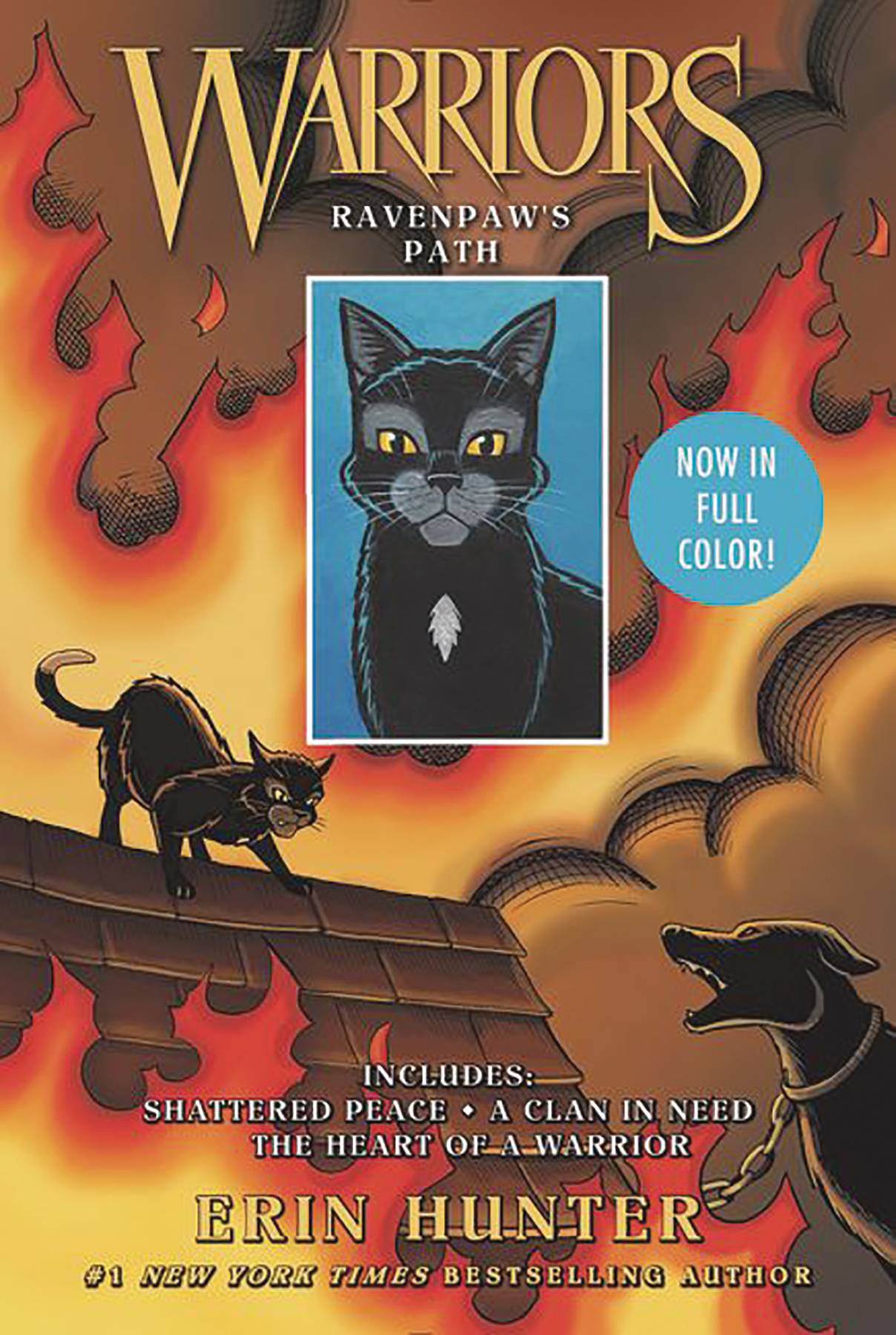  Warriors Ravenpaw Path Graphic Novel