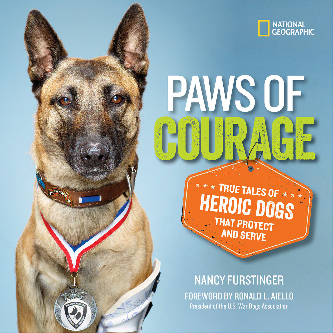 Paws Of Courage (Hardcover Book)