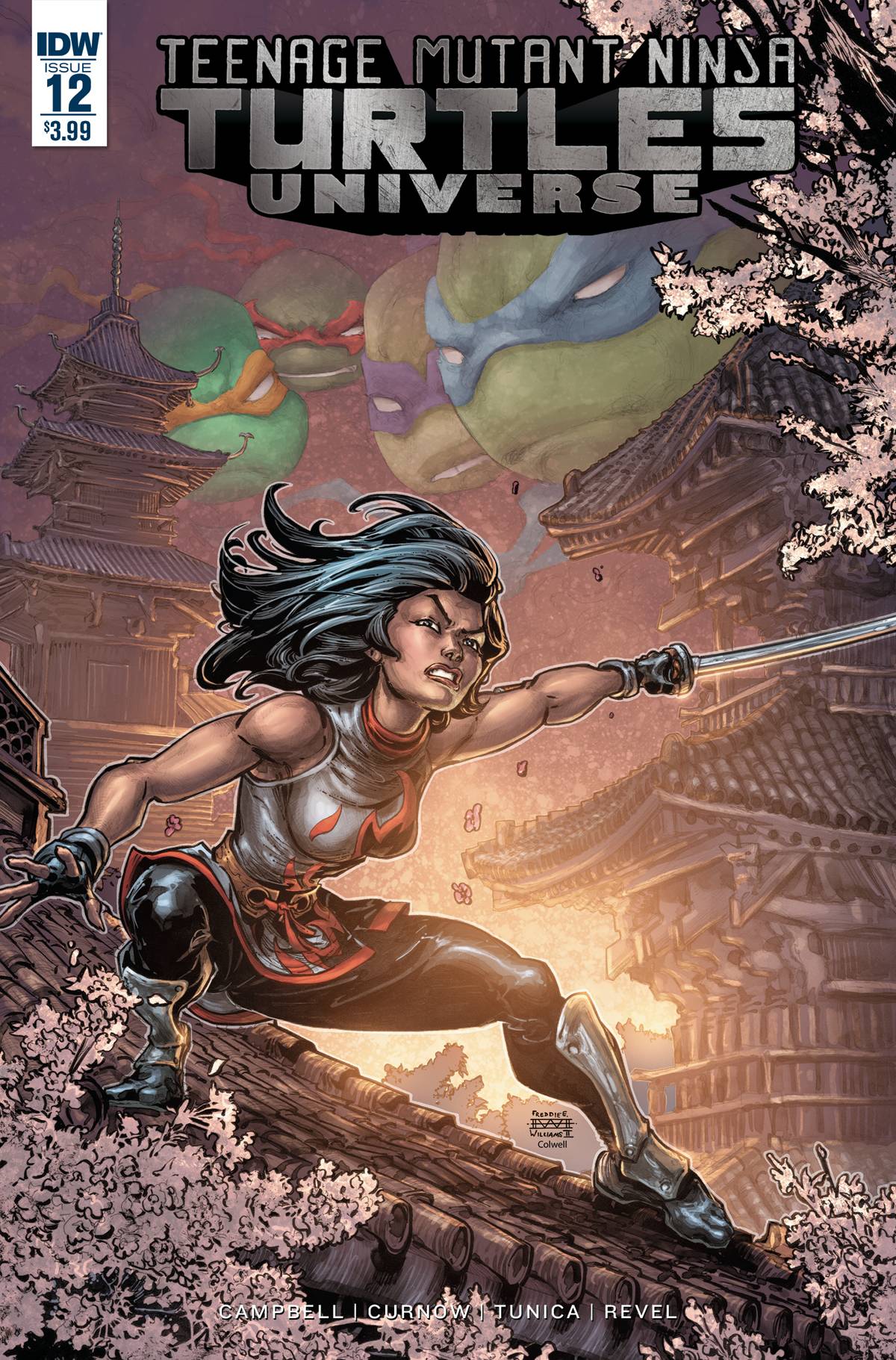 Teenage Mutant Ninja Turtles Universe #12 Cover A Williams II