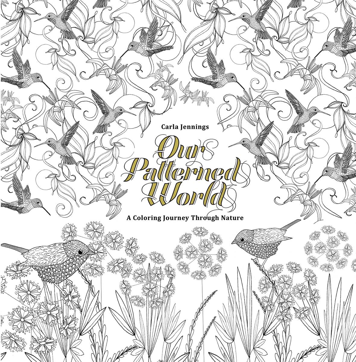 Our Patterned World A Beautiful Coloring Book Graphic Novel