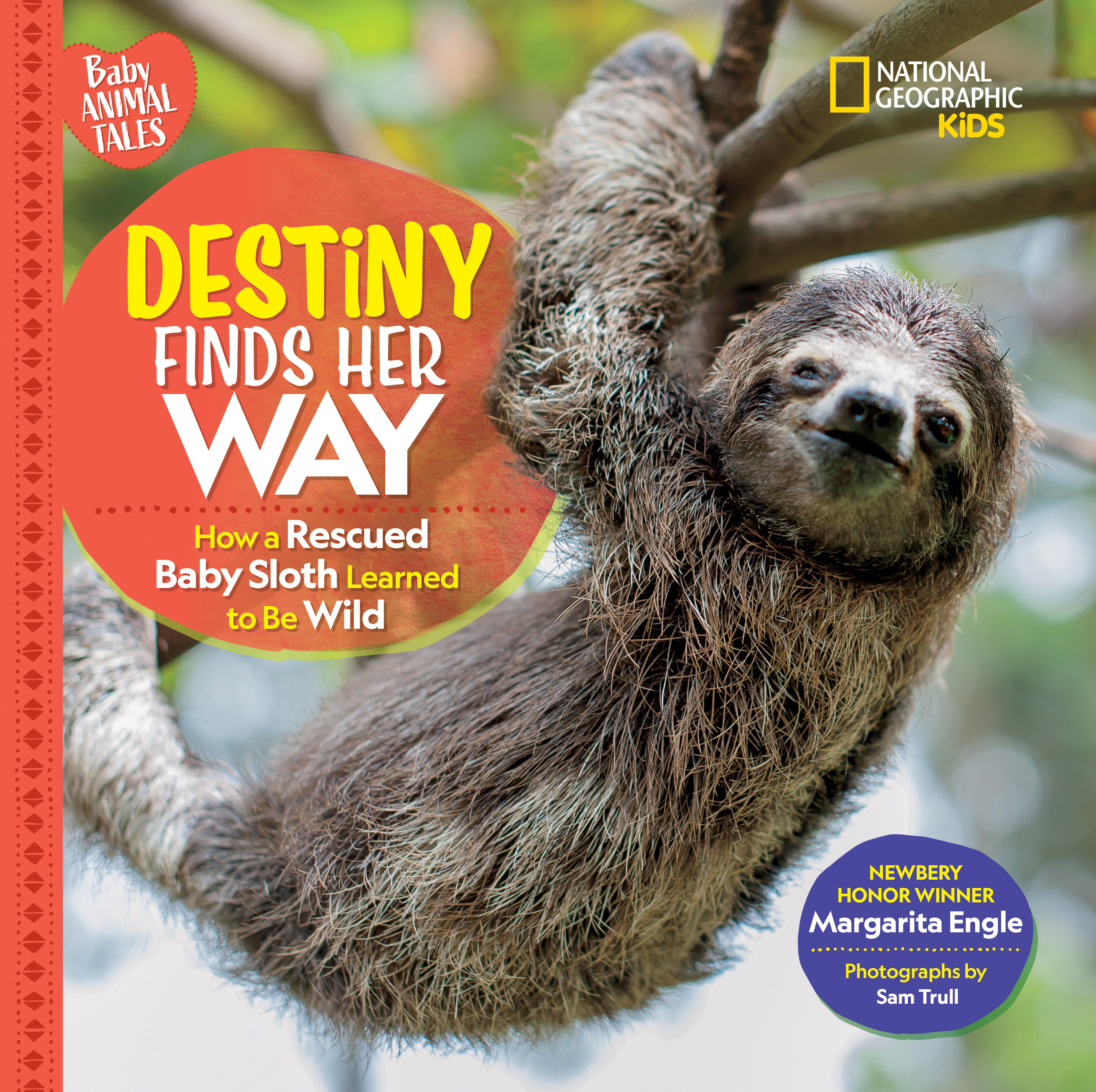 Destiny Finds Her Way (Hardcover Book)