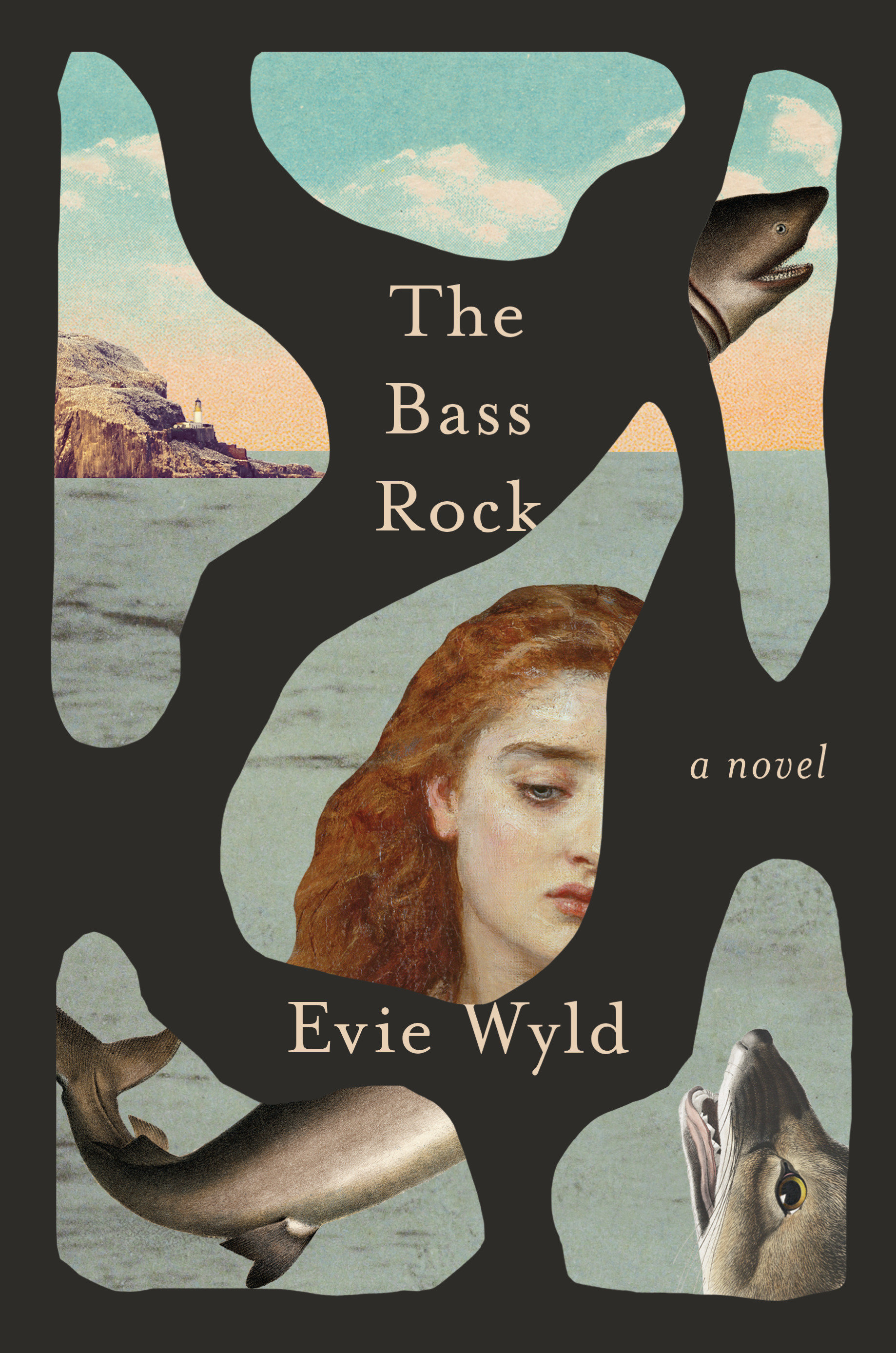 The Bass Rock (Hardcover Book)