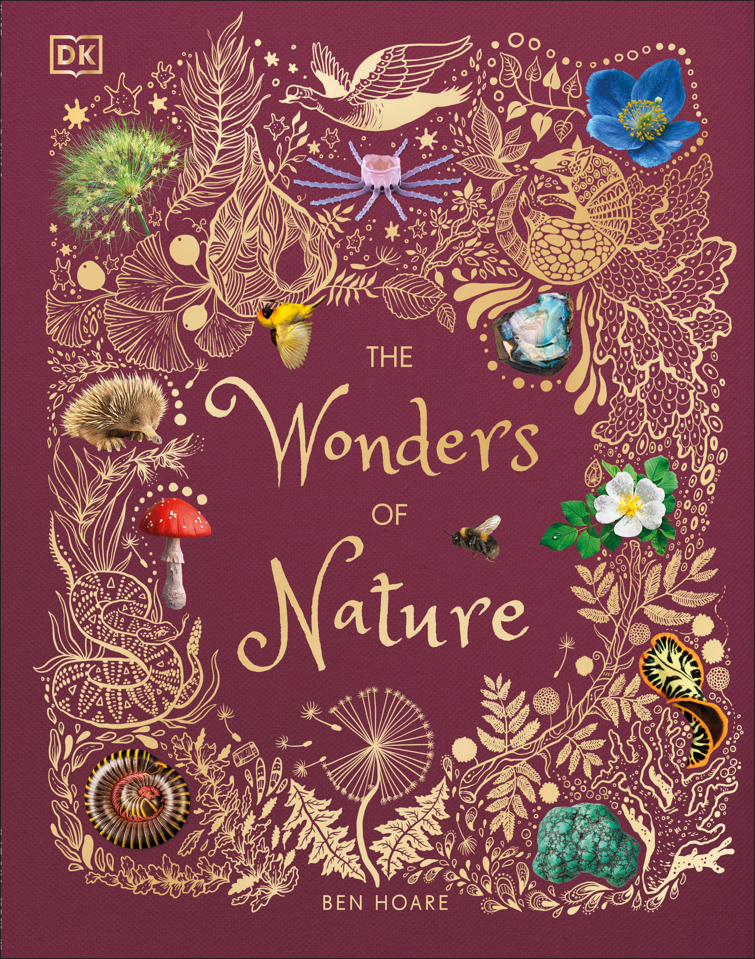 The Wonders Of Nature (Hardcover Book)