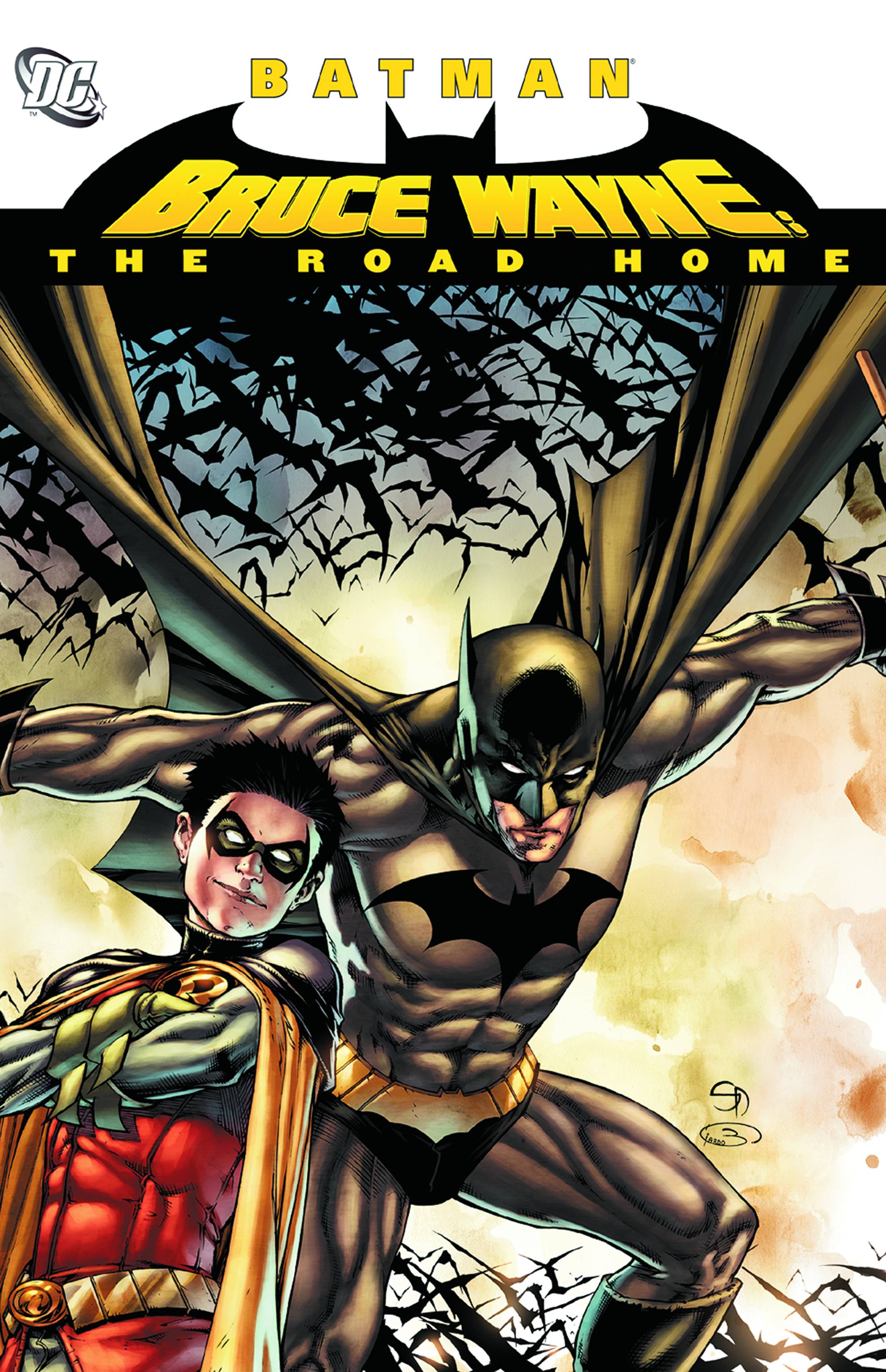 Batman Bruce Wayne The Road Home Graphic Novel