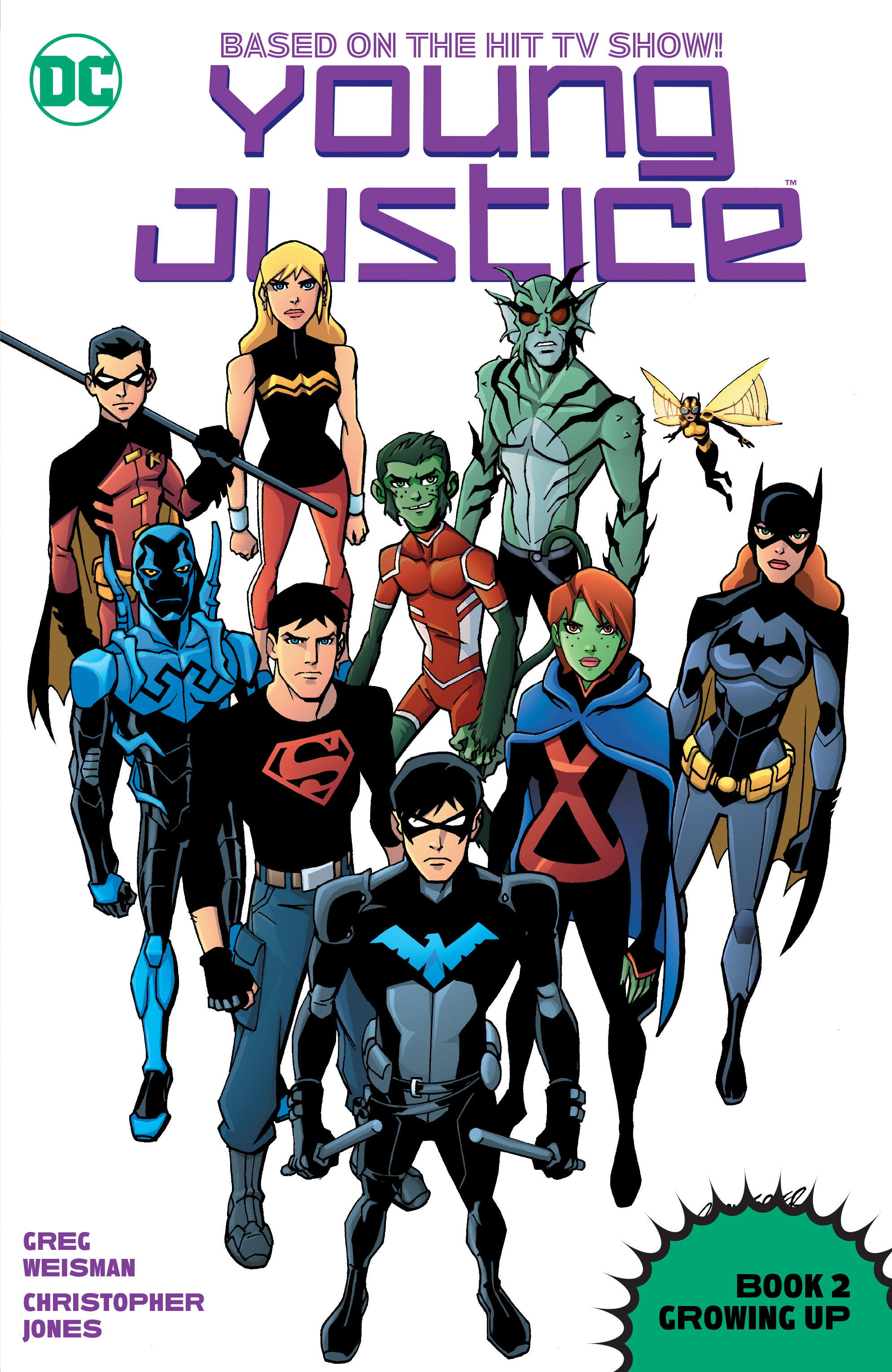 Young Justice Book 2 Growing Up Graphic Novel