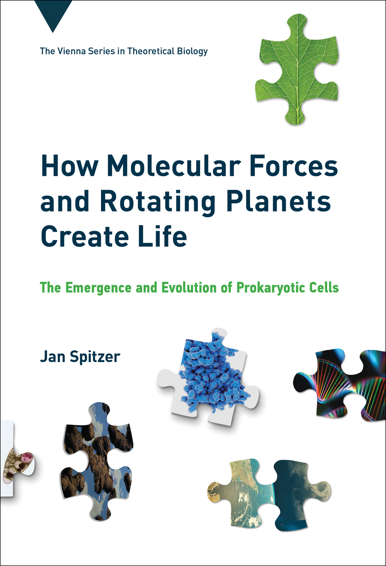 How Molecular Forces And Rotating Planets Create Life (Hardcover Book)