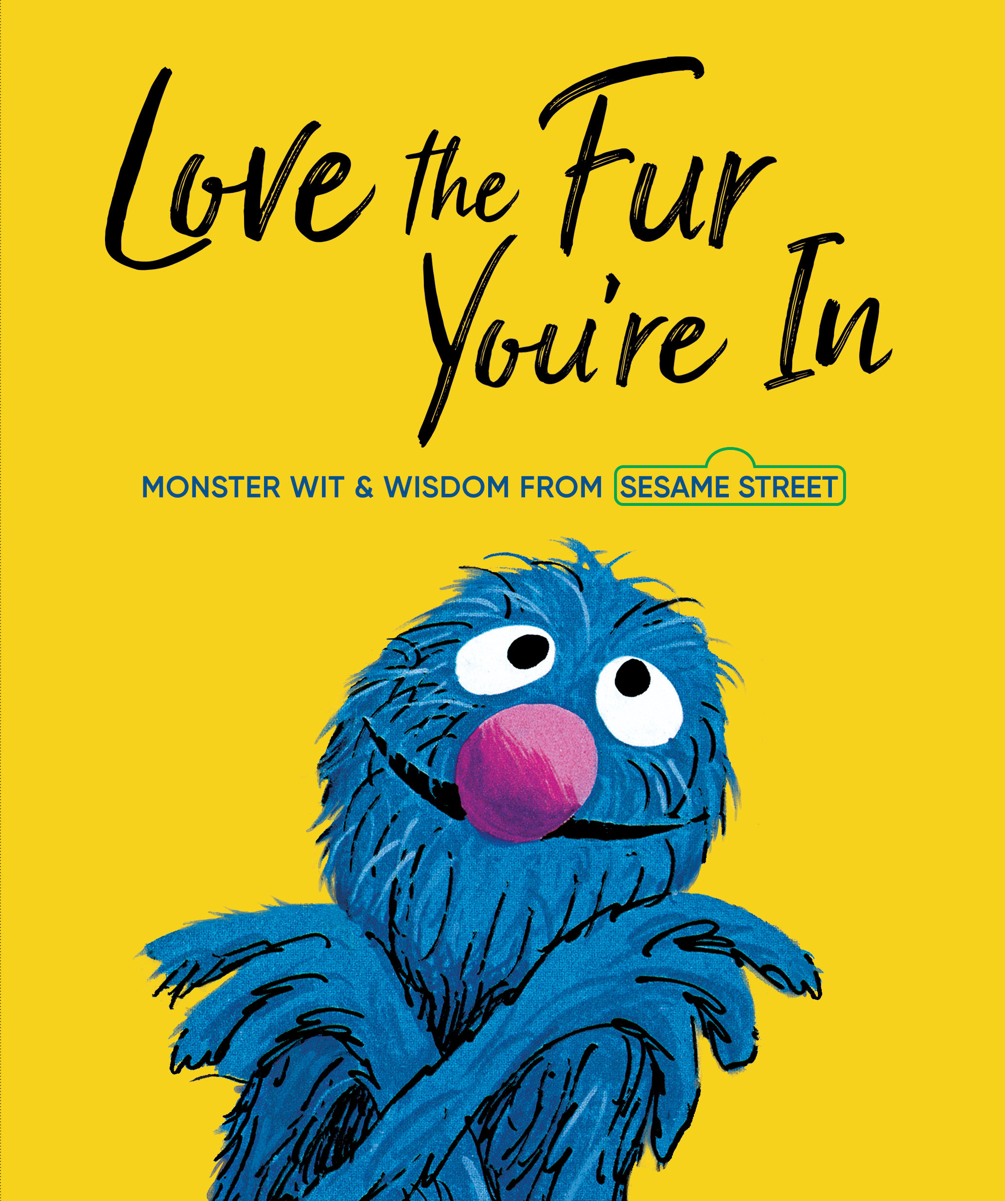 Love The Fur You're In (Sesame Street) Hardcover