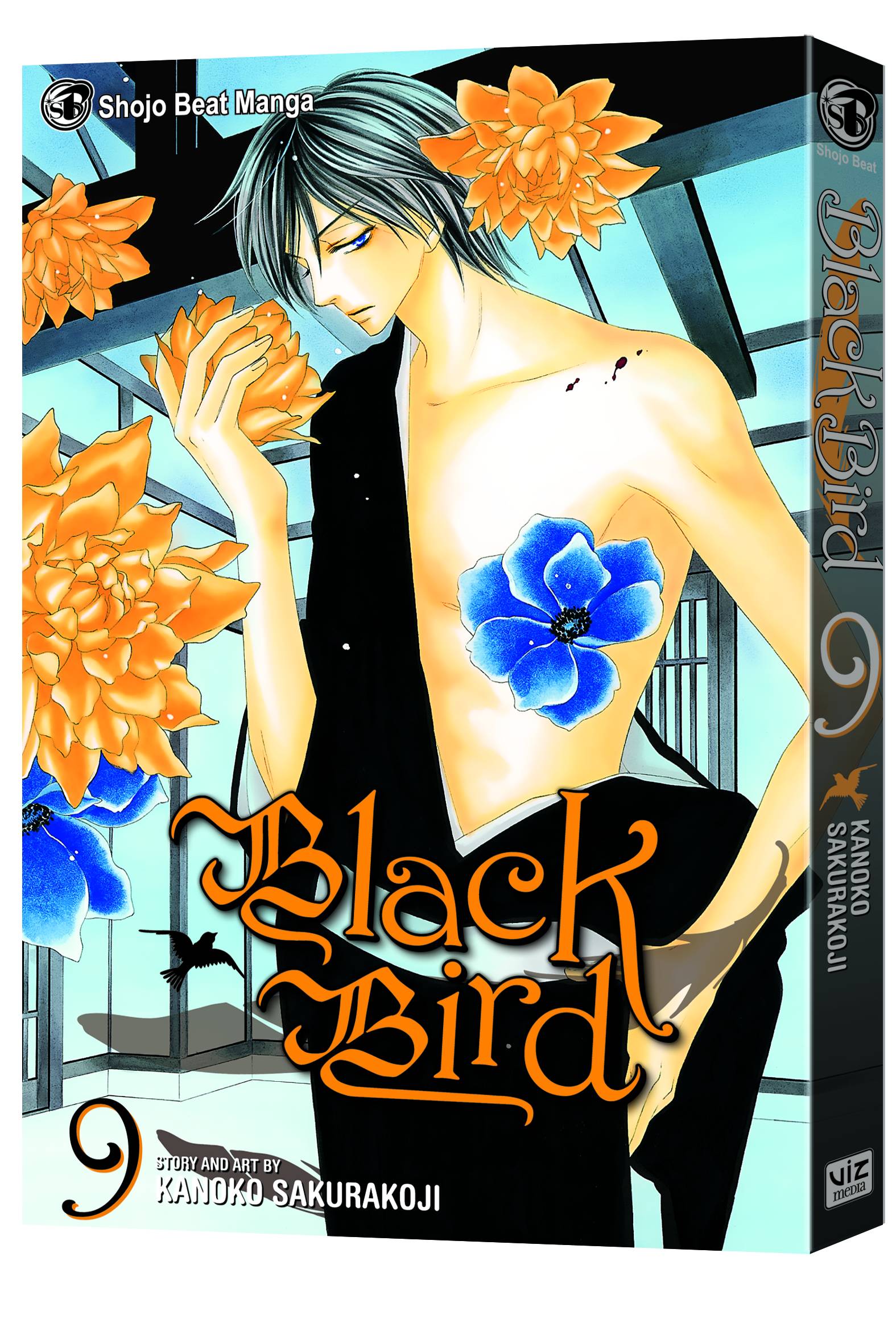 Black Bird Manga Volume 9